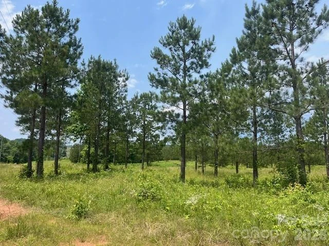 2200 Oweda Drive - Photo 13