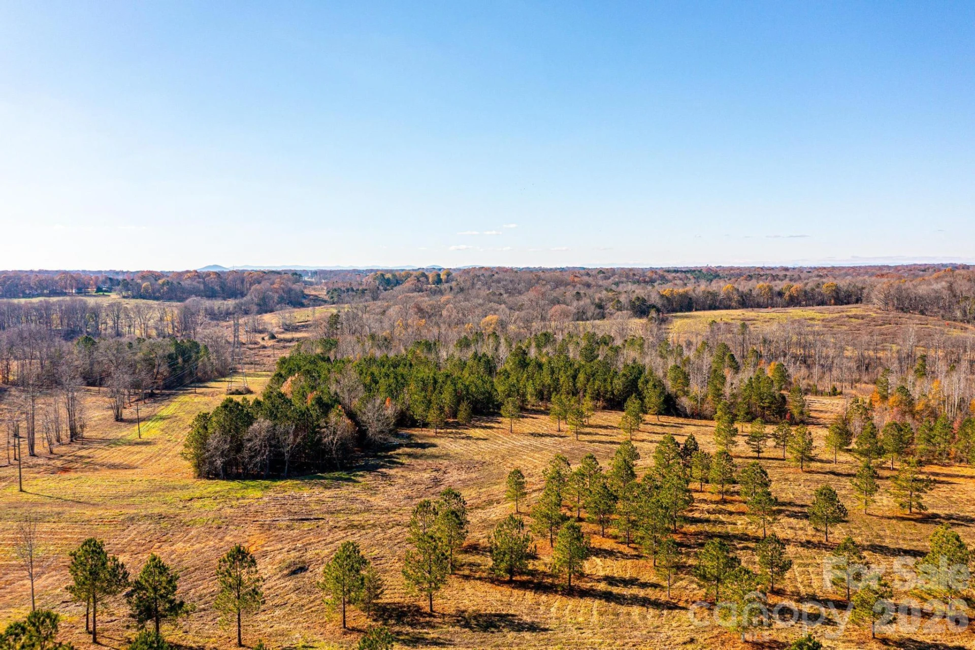 2200 Oweda Drive - Photo 3
