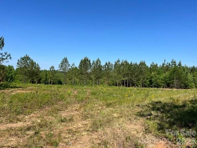 2200 Oweda Drive - Photo 8