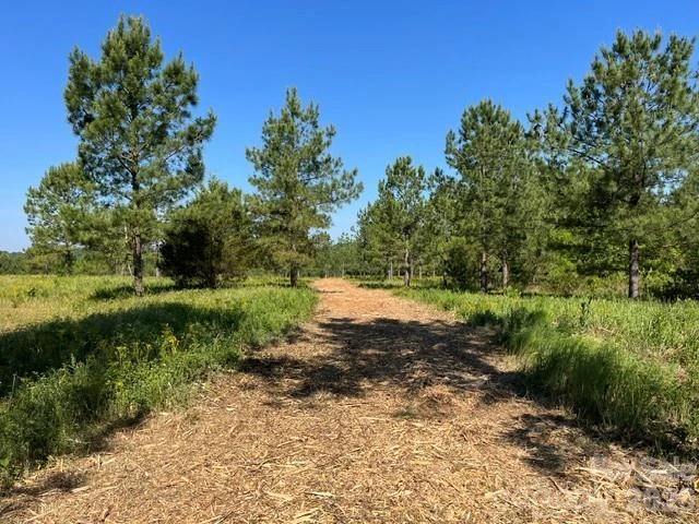 2200 Oweda Drive - Photo 9