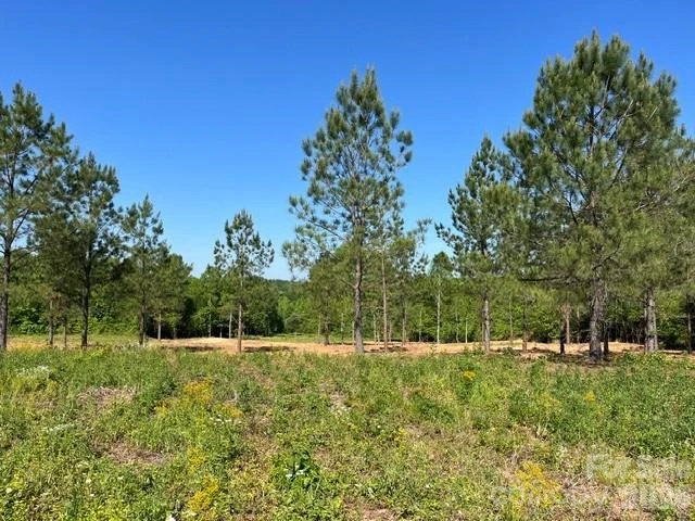 2200 Oweda Drive - Photo 10