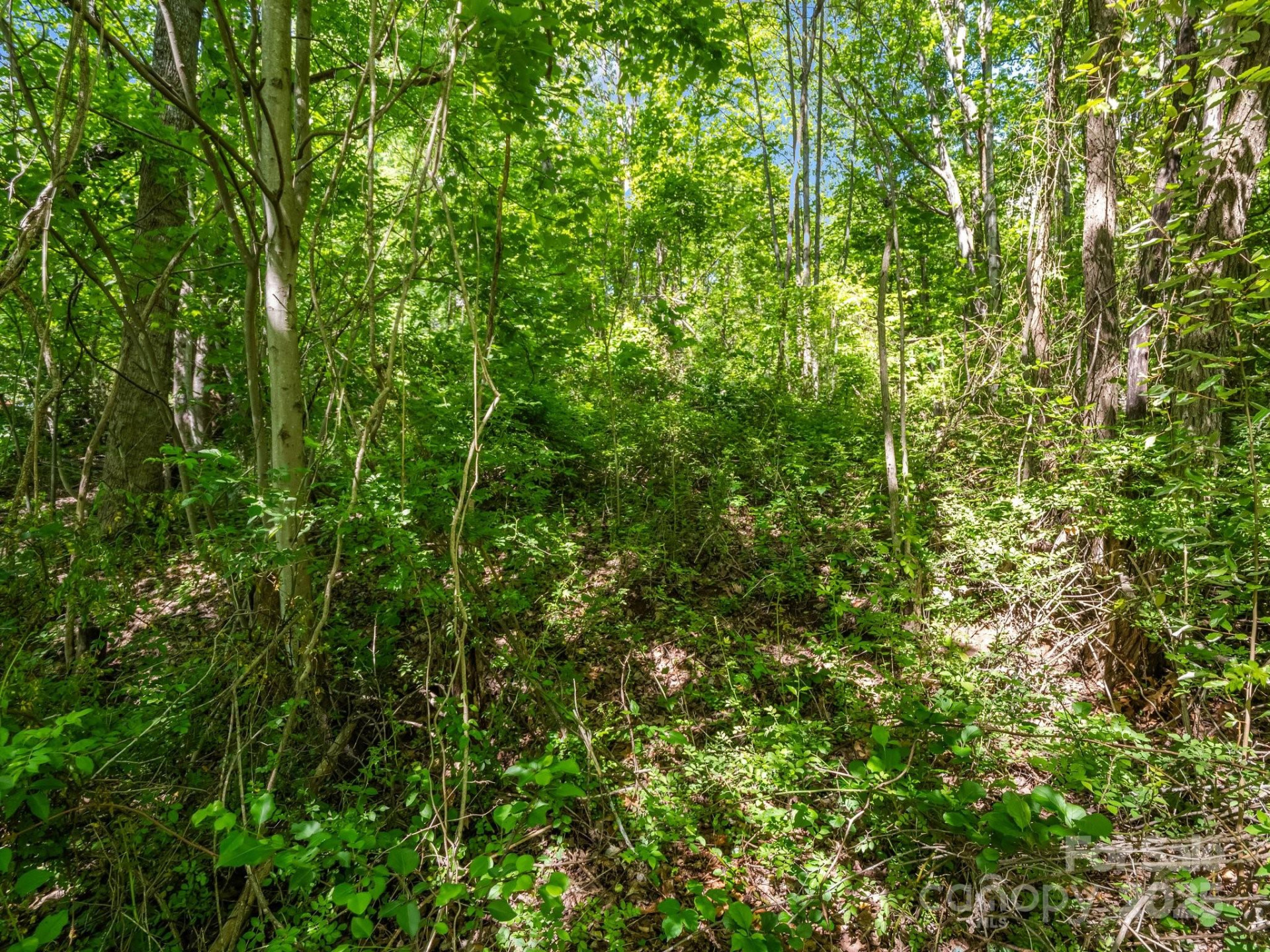 00 Hamilton Acres Drive - Photo 12