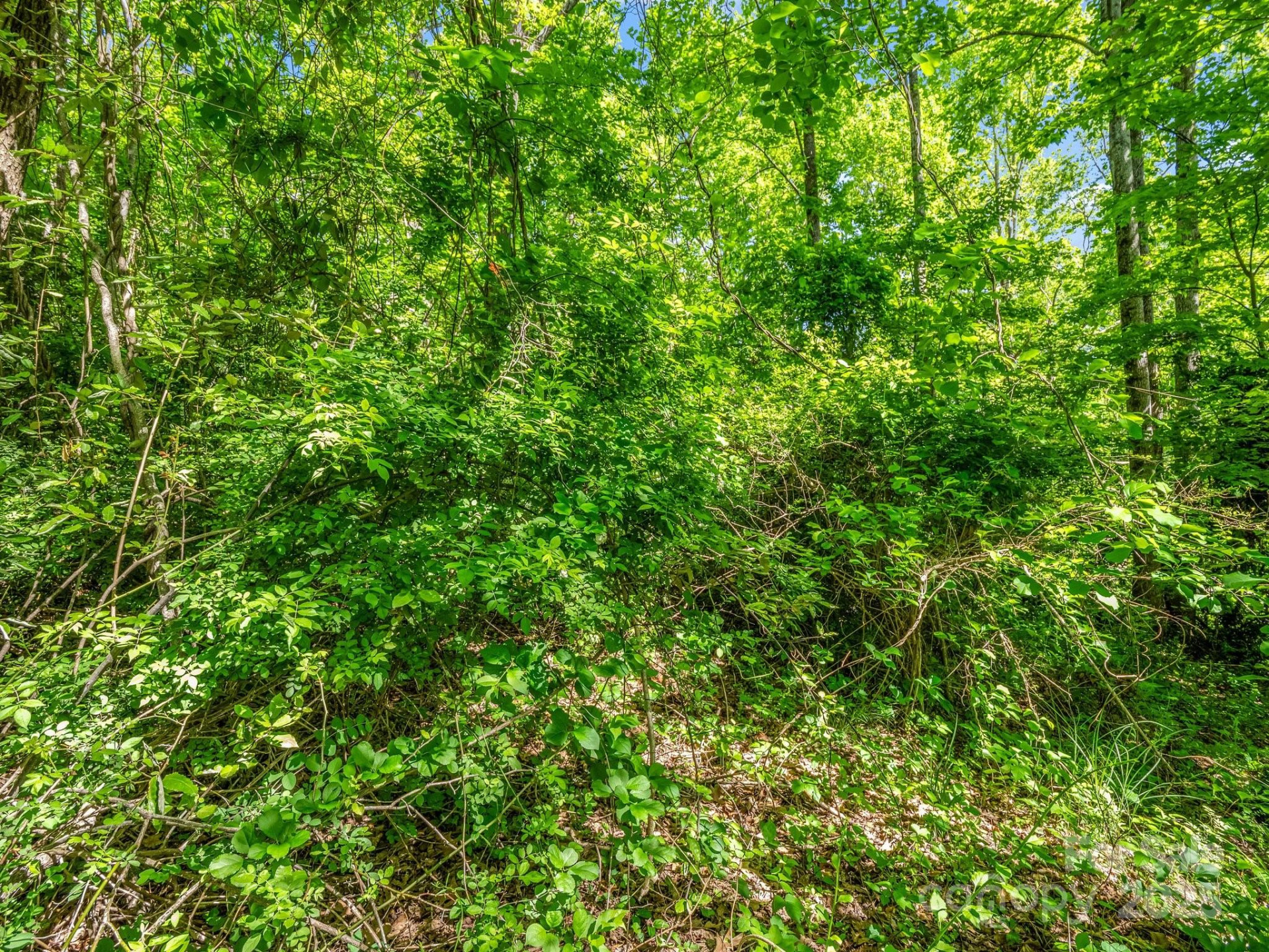 00 Hamilton Acres Drive - Photo 13