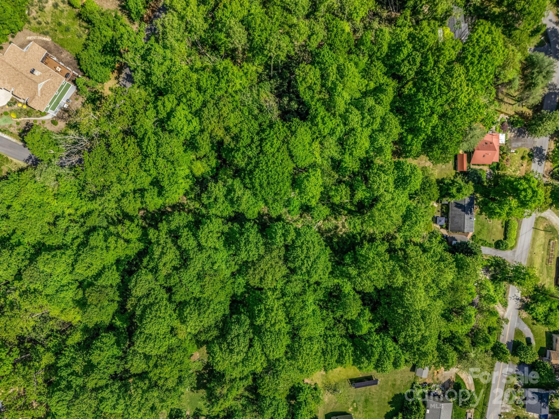 00 Hamilton Acres Drive - Photo 14