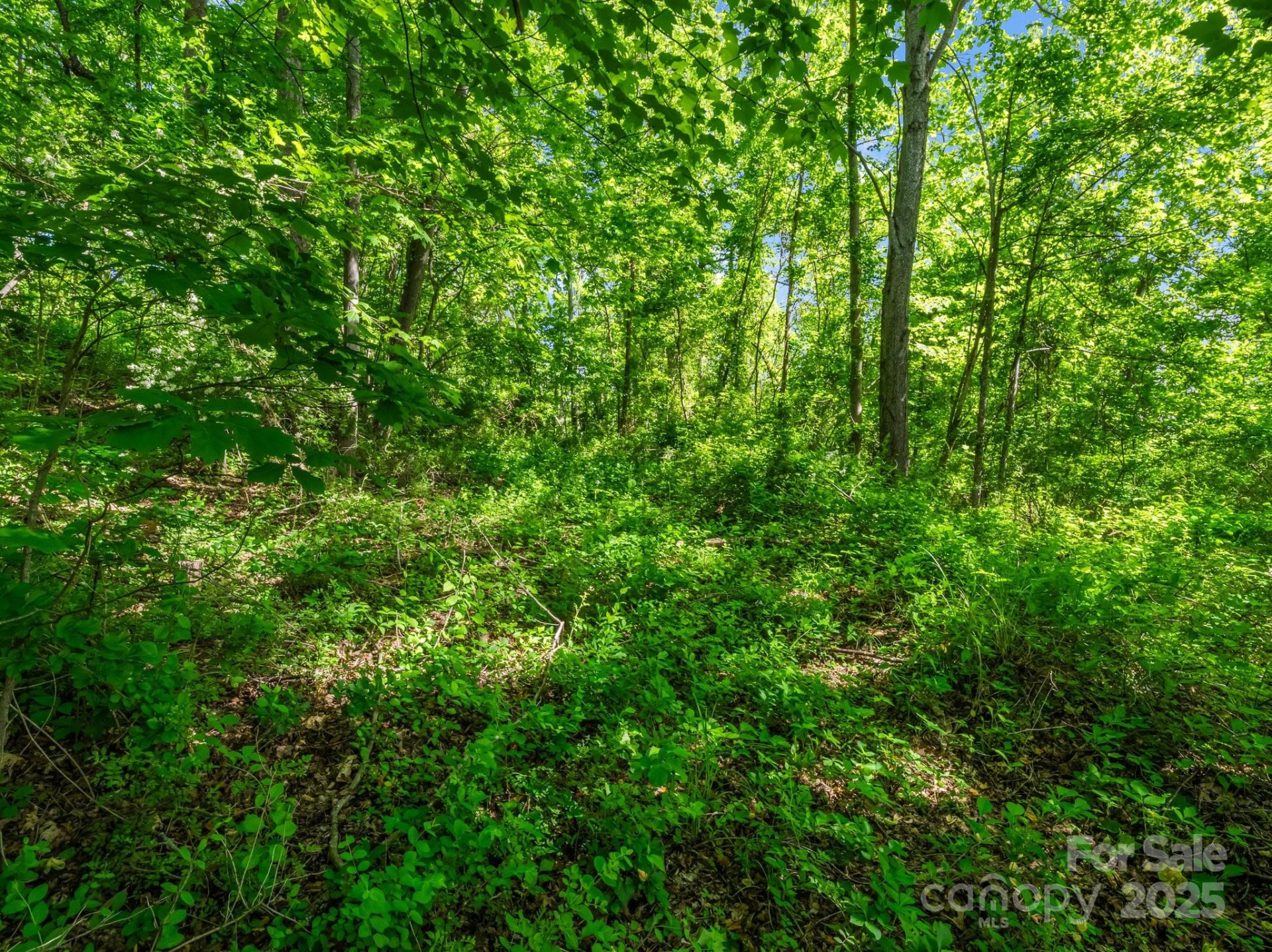 00 Hamilton Acres Drive - Photo 6