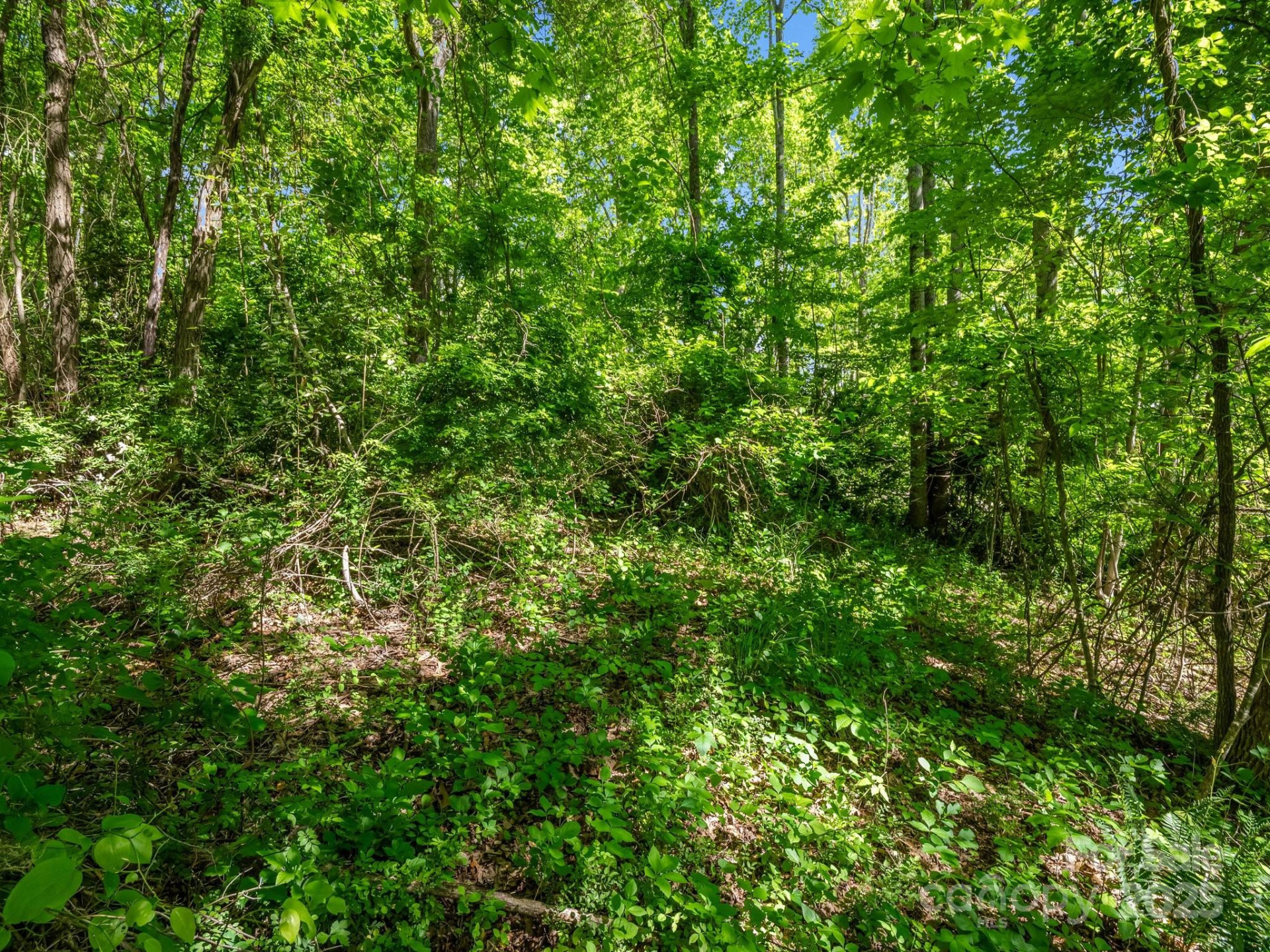 00 Hamilton Acres Drive - Photo 9