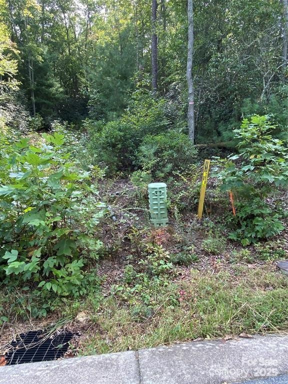 47 Crossings Circle #18 - Photo 6