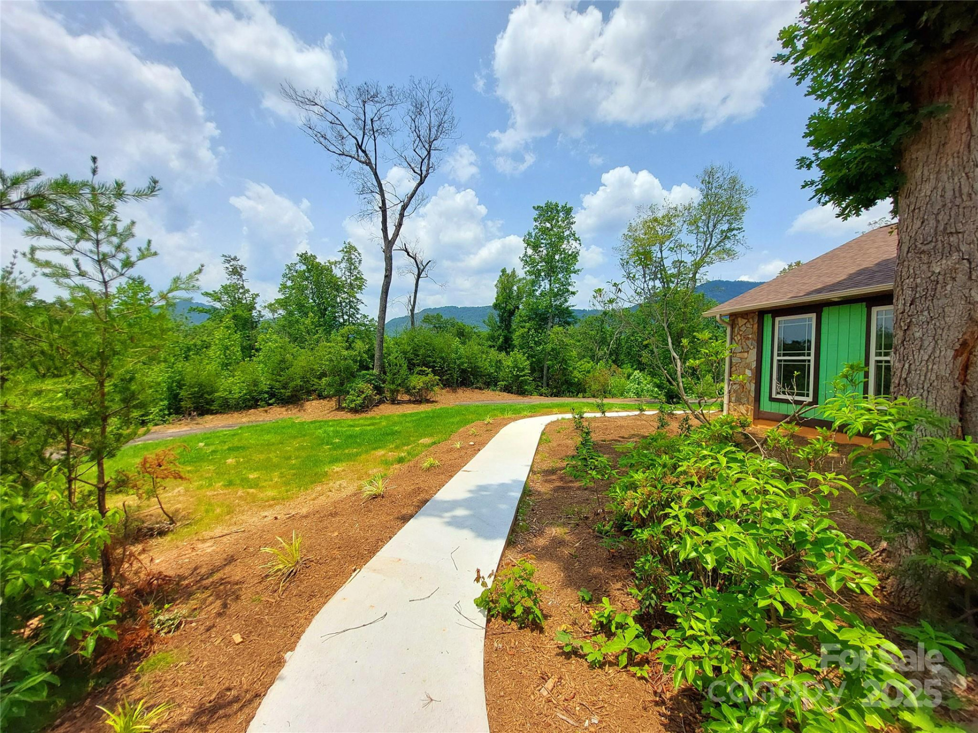 401 Constant Lane - Photo 5