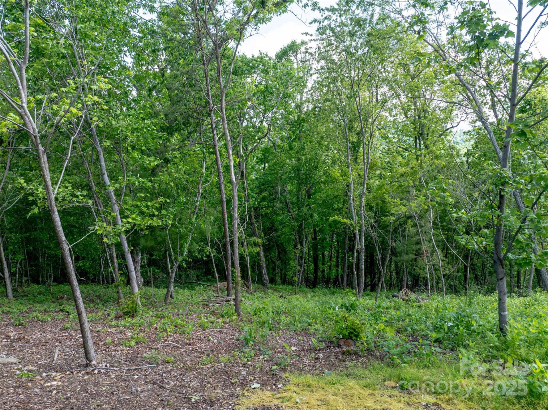 124 Summit Tower Circle - Photo 14