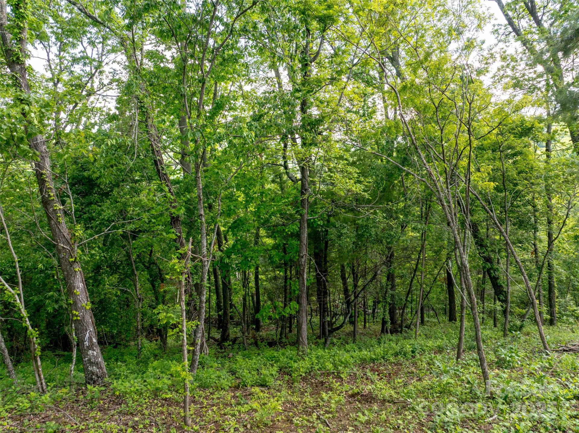 124 Summit Tower Circle - Photo 15