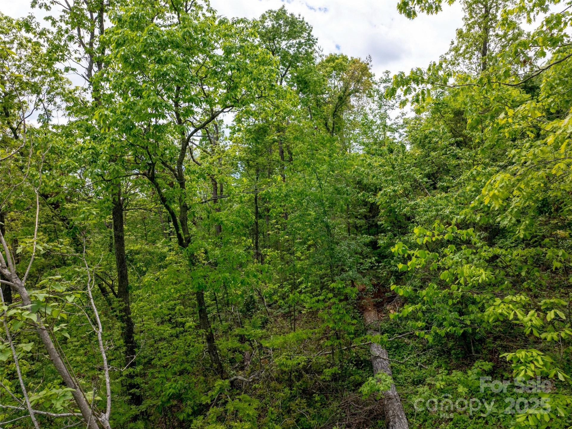 124 Summit Tower Circle - Photo 22