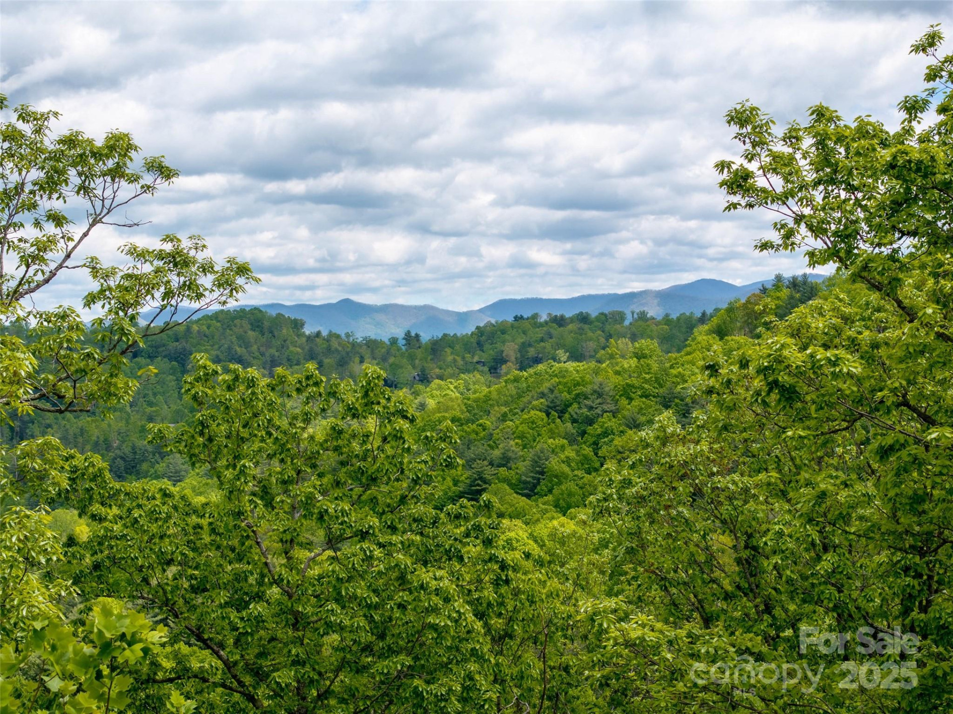 124 Summit Tower Circle - Photo 23