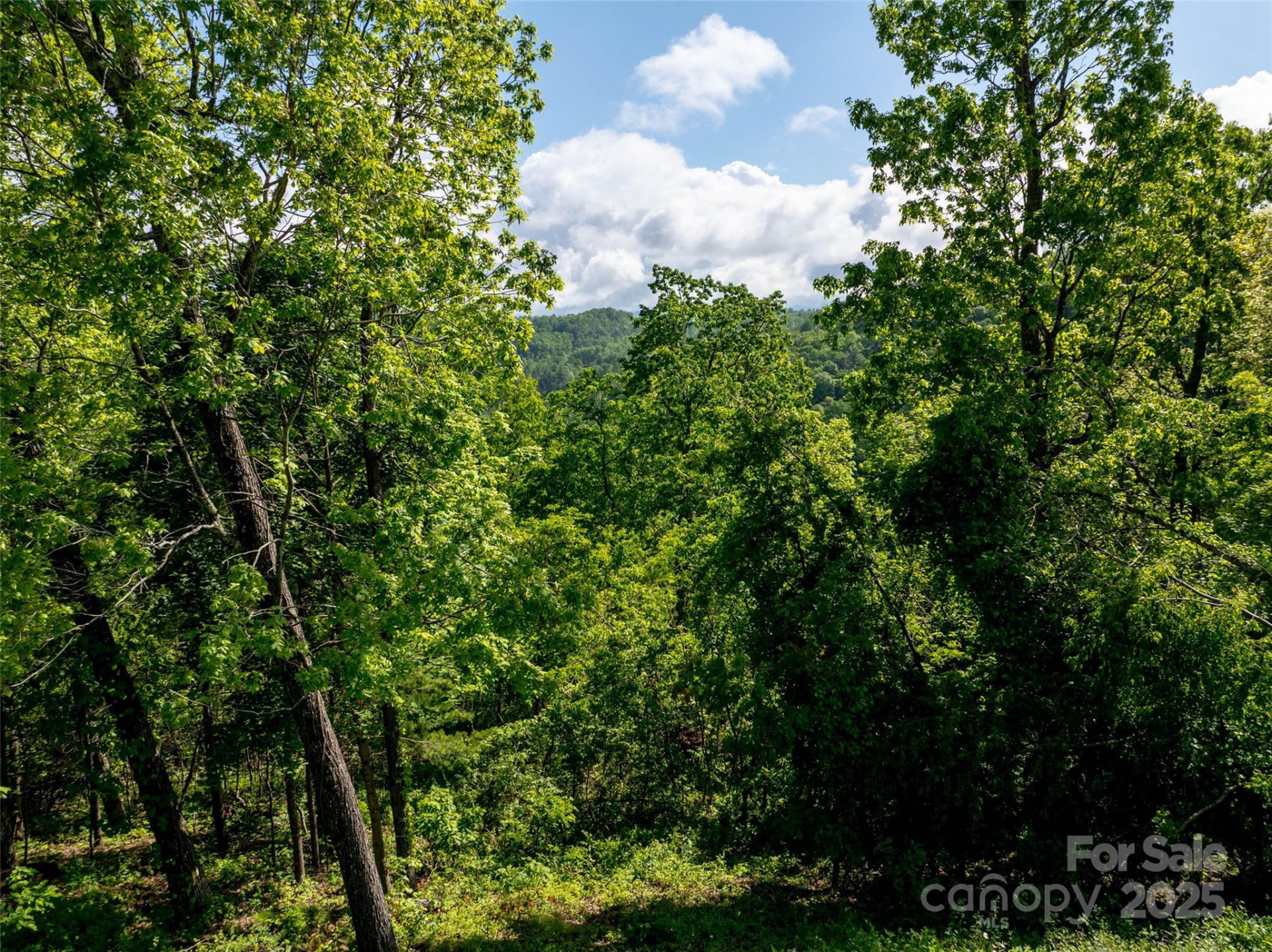 124 Summit Tower Circle - Photo 24