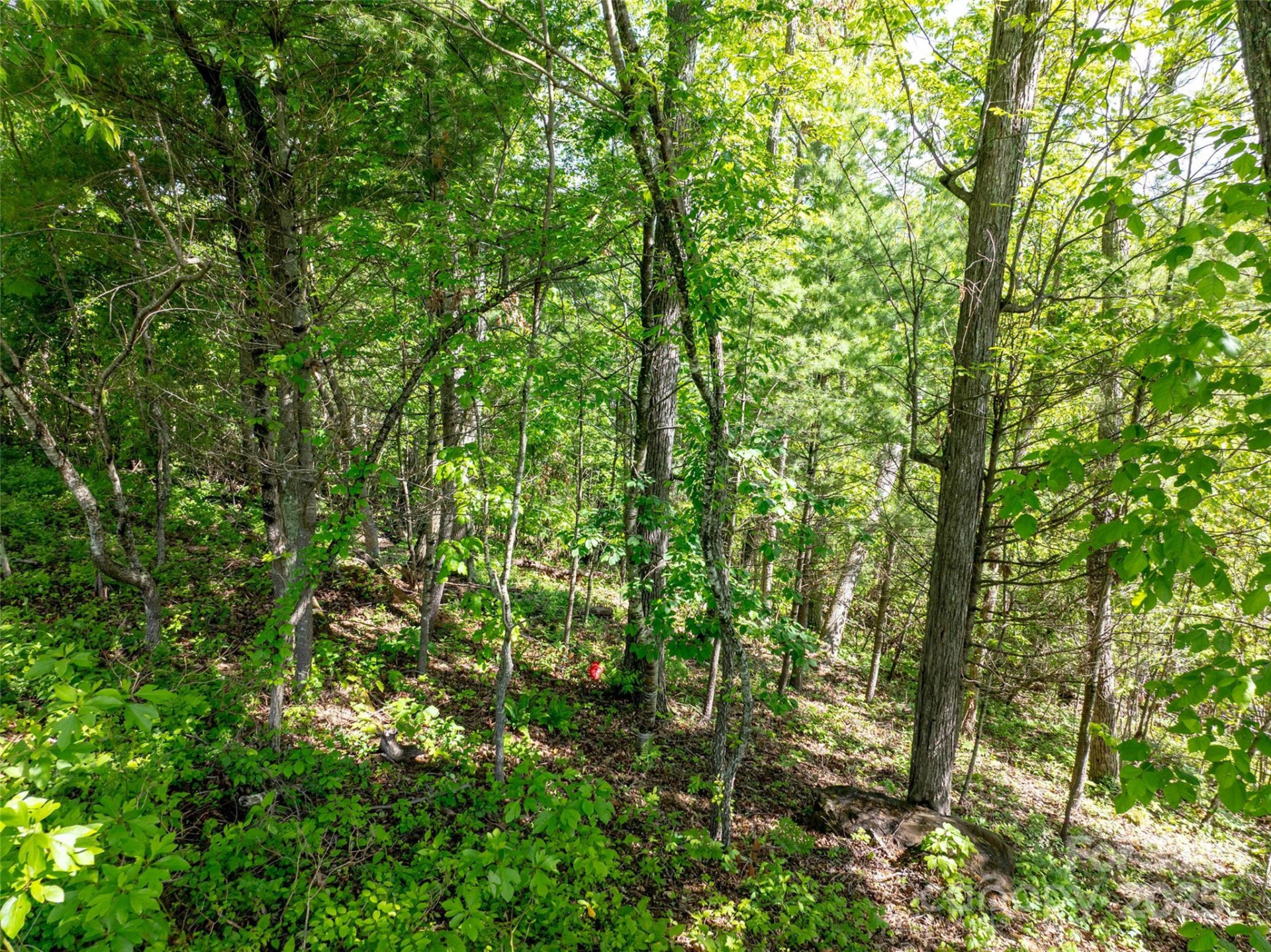 124 Summit Tower Circle - Photo 25