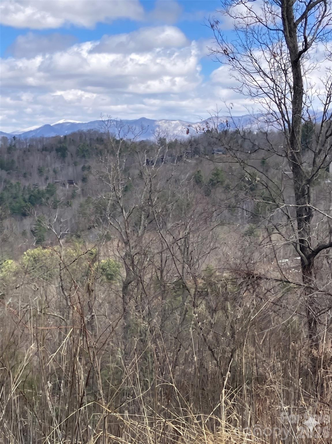 124 Summit Tower Circle - Photo 53