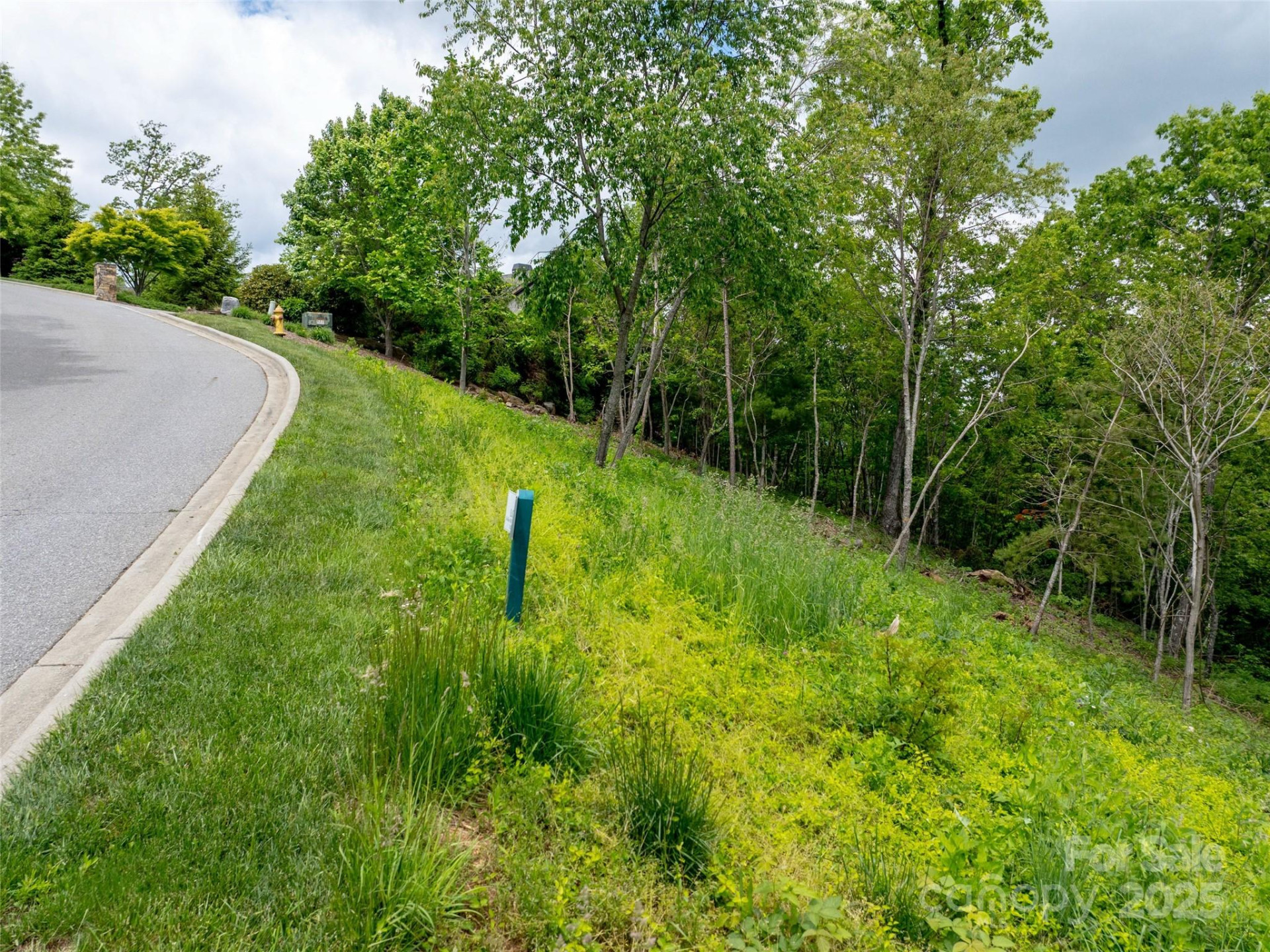 124 Summit Tower Circle - Photo 4