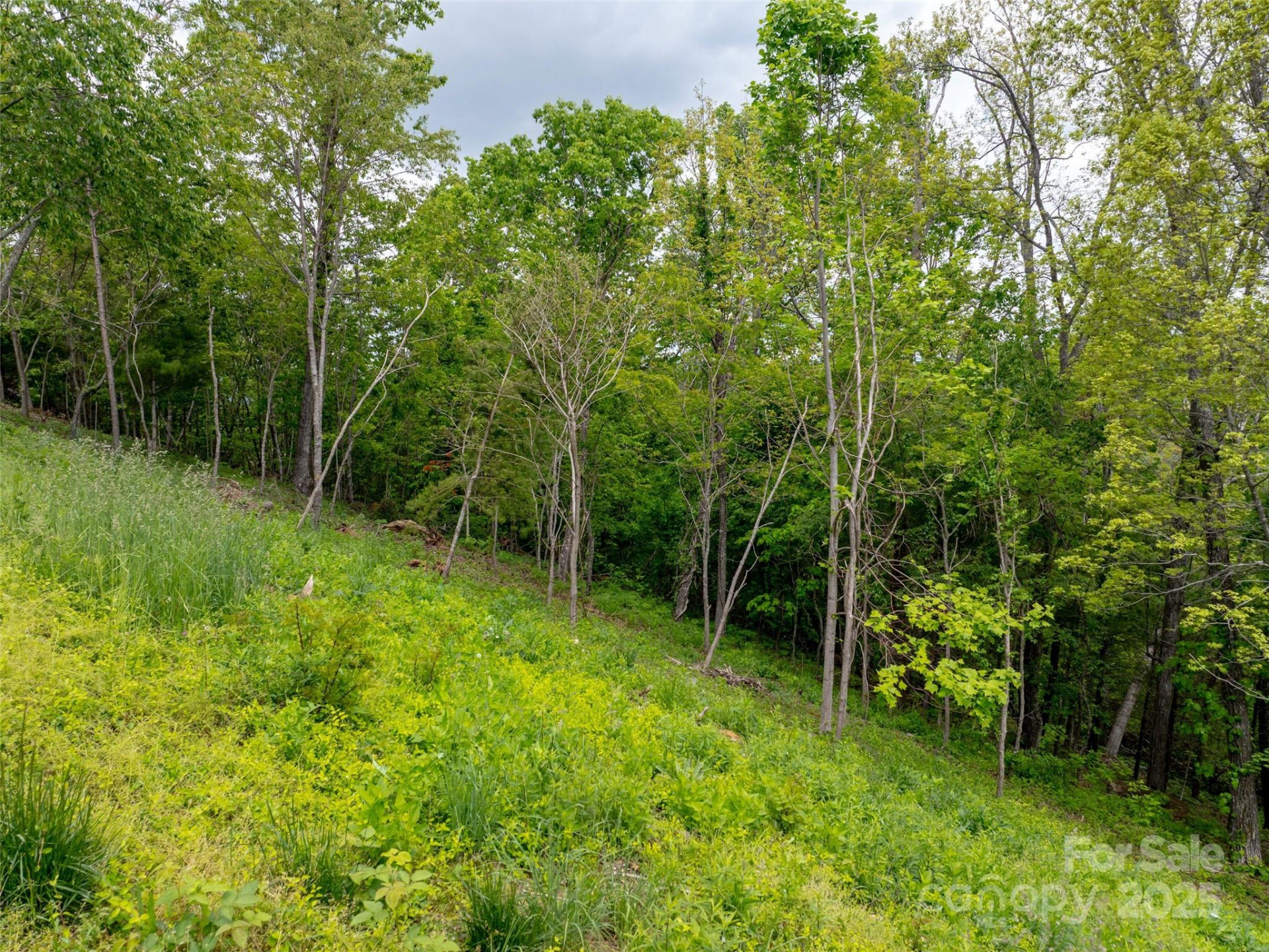 124 Summit Tower Circle - Photo 5