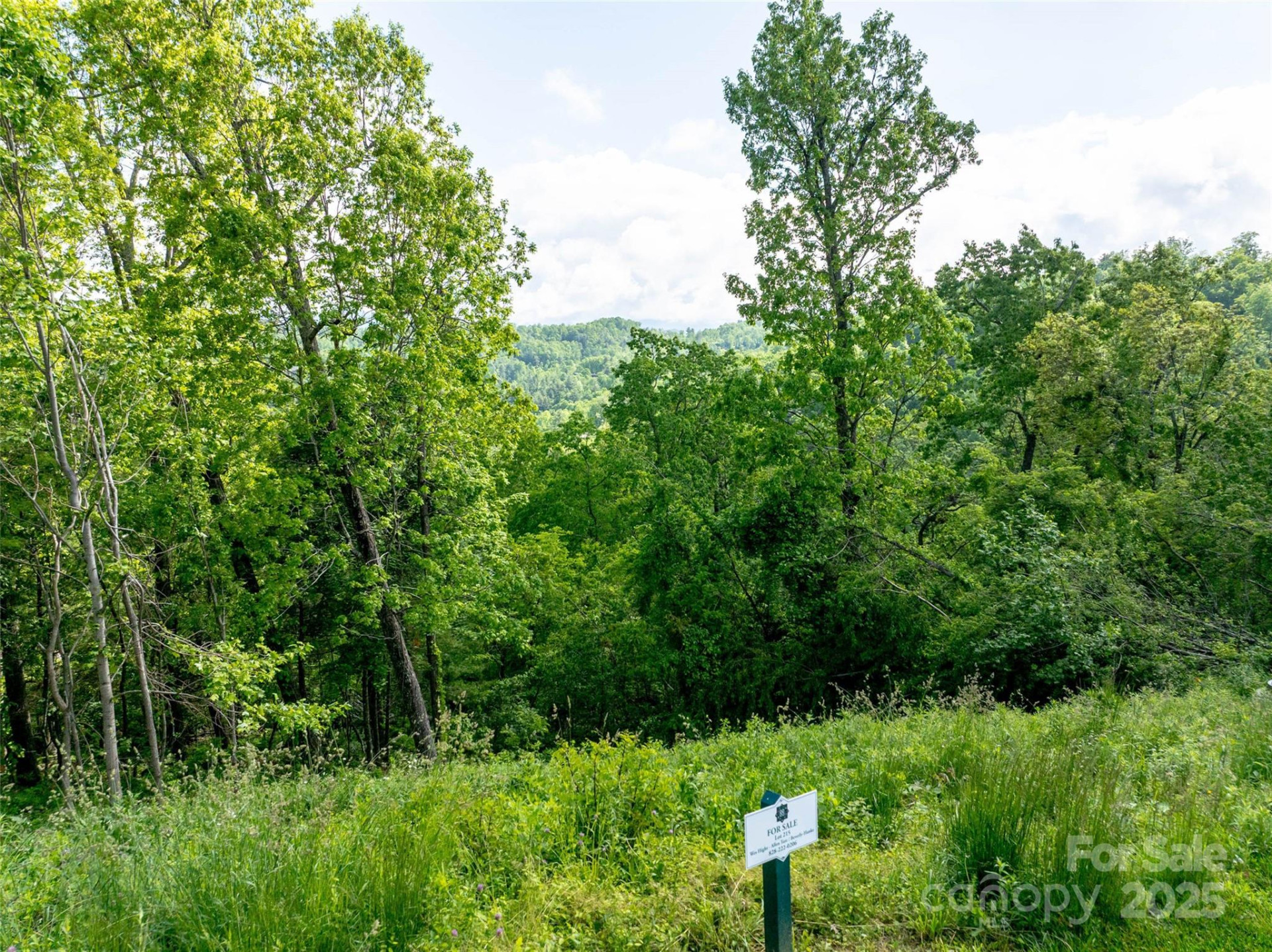 124 Summit Tower Circle - Photo 6