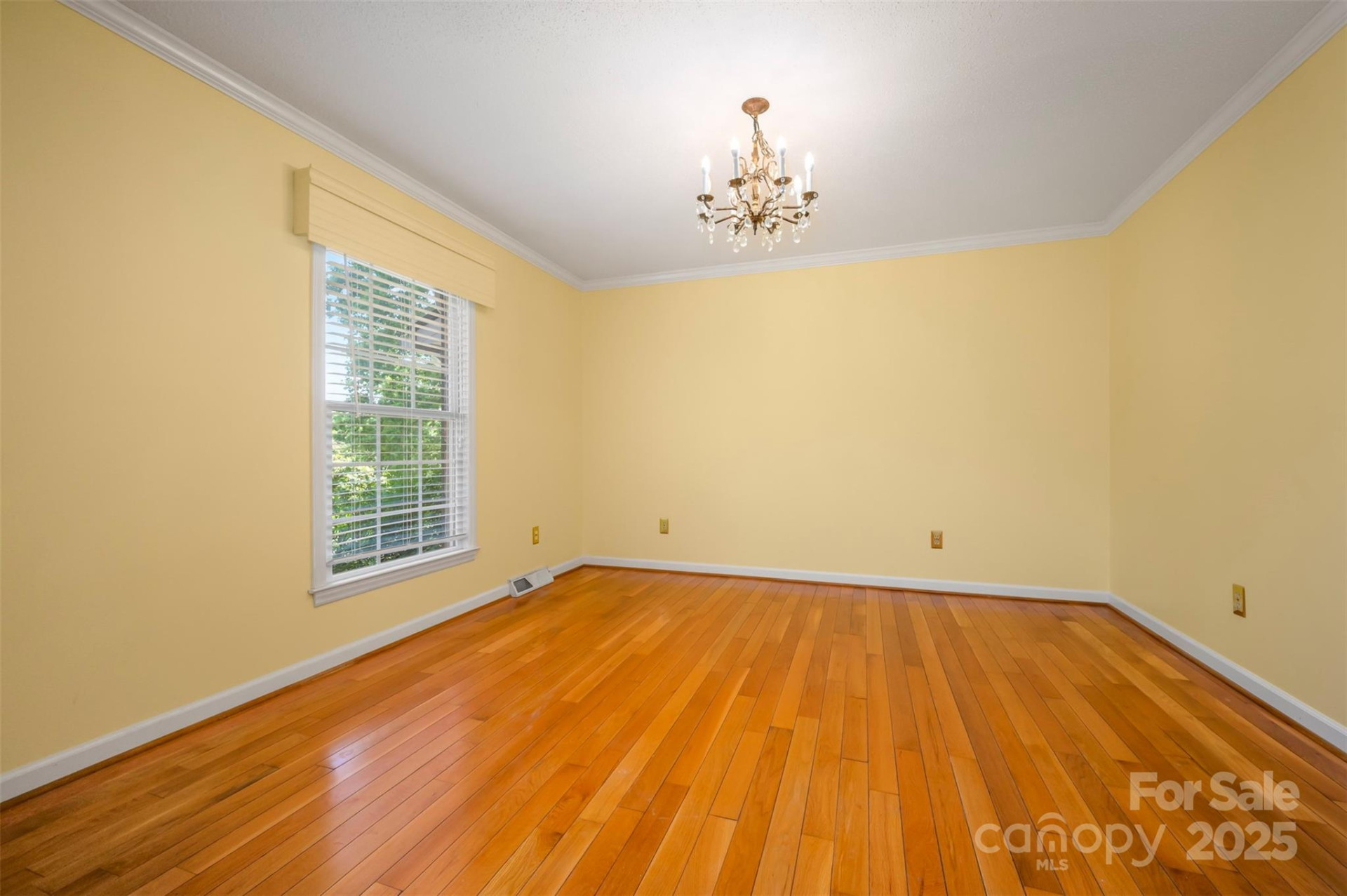 147 Anne Street - Photo 8