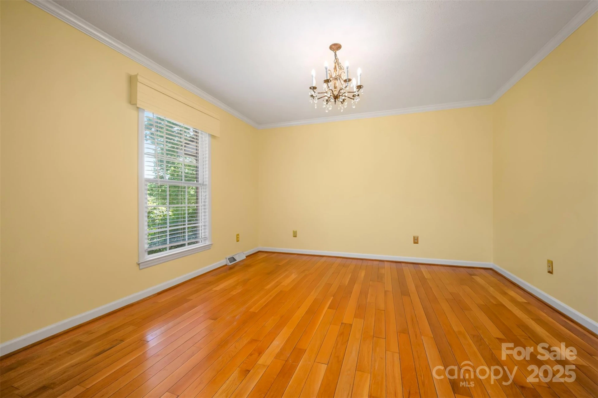 147 Anne Street - Photo 8