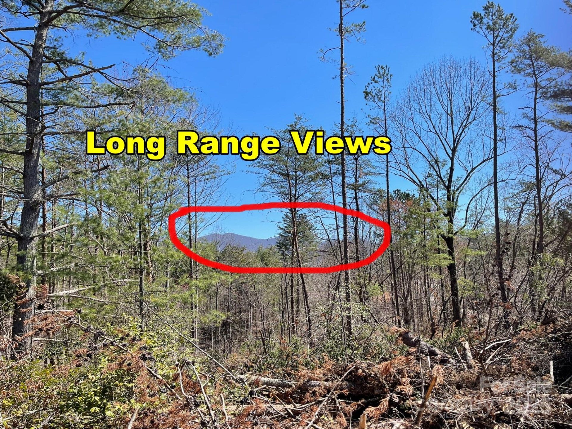 83 Union Chapel Road - Photo 2