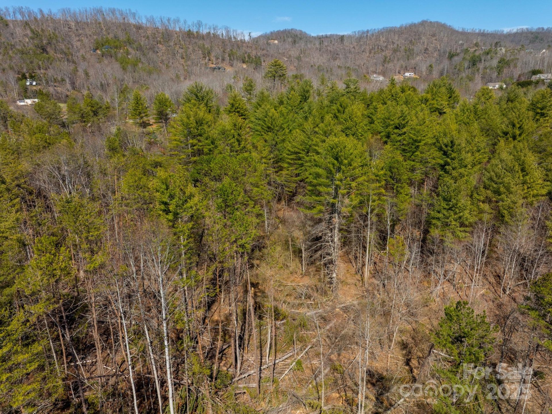 83 Union Chapel Road - Photo 3