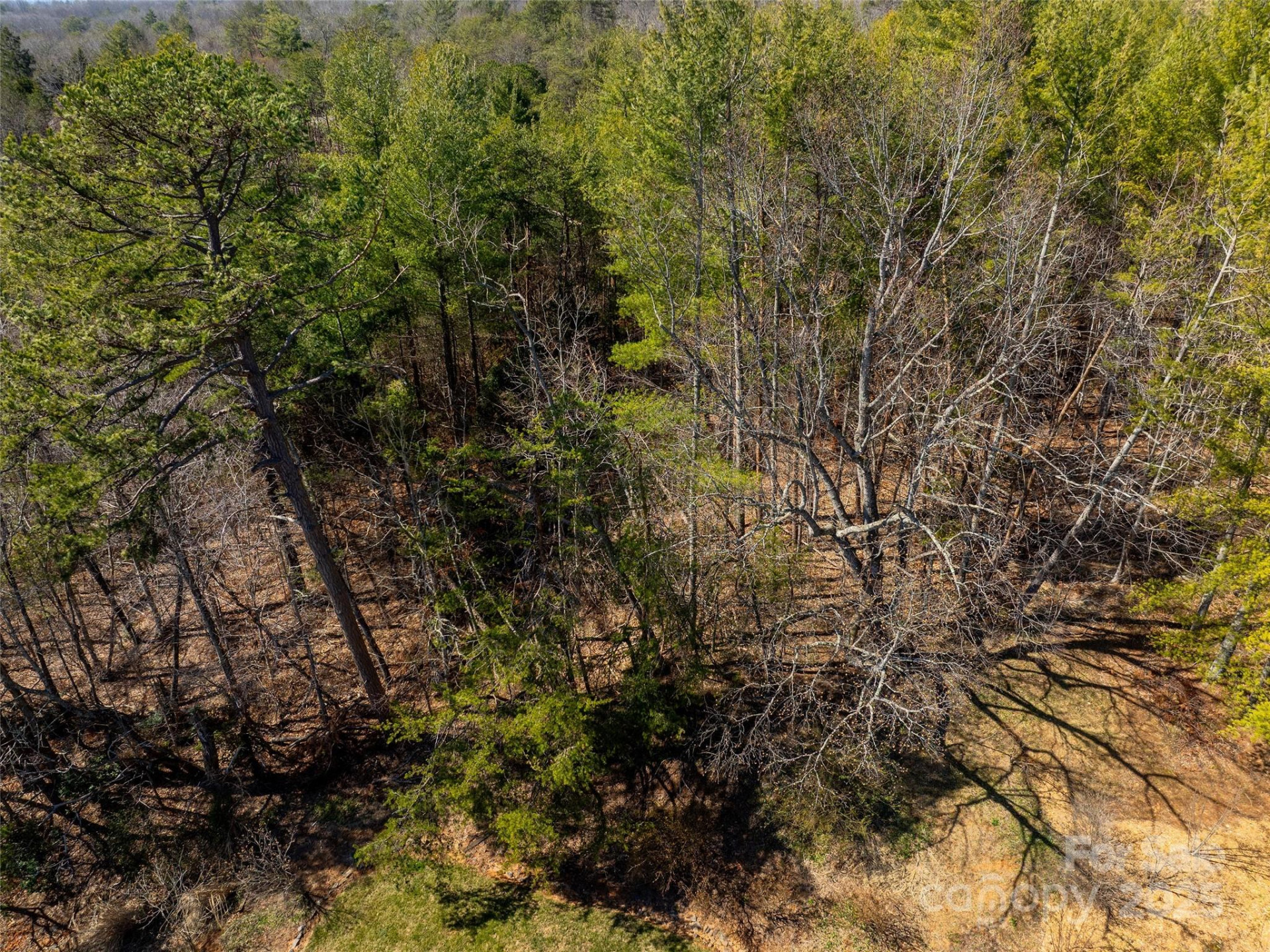 83 Union Chapel Road - Photo 6