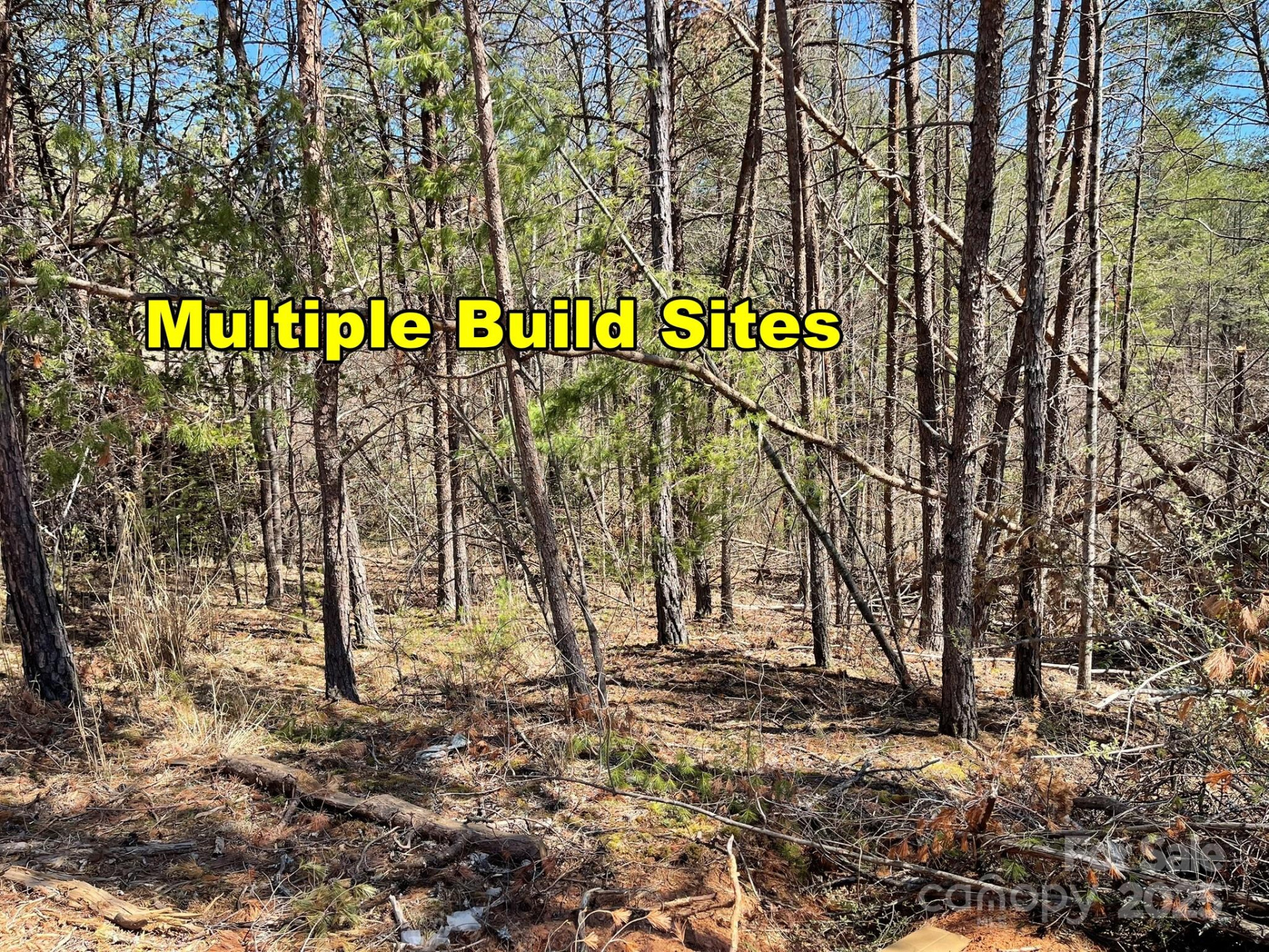 83 Union Chapel Road - Photo 8