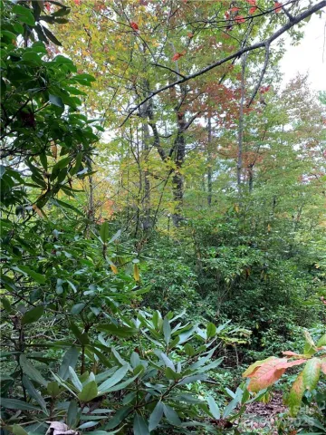 000 Eastatoe Gap Road, Rosman, NC, 28772