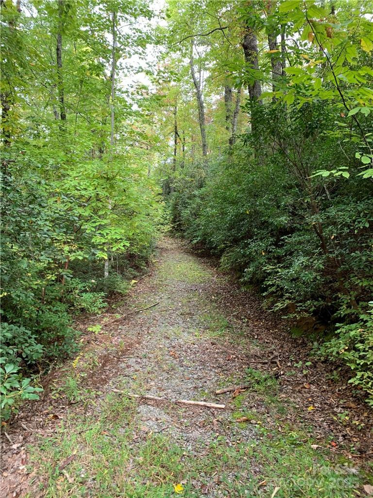 000 Eastatoe Gap Road - Photo 3