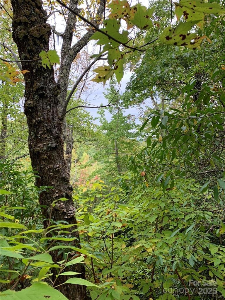 000 Eastatoe Gap Road - Photo 4