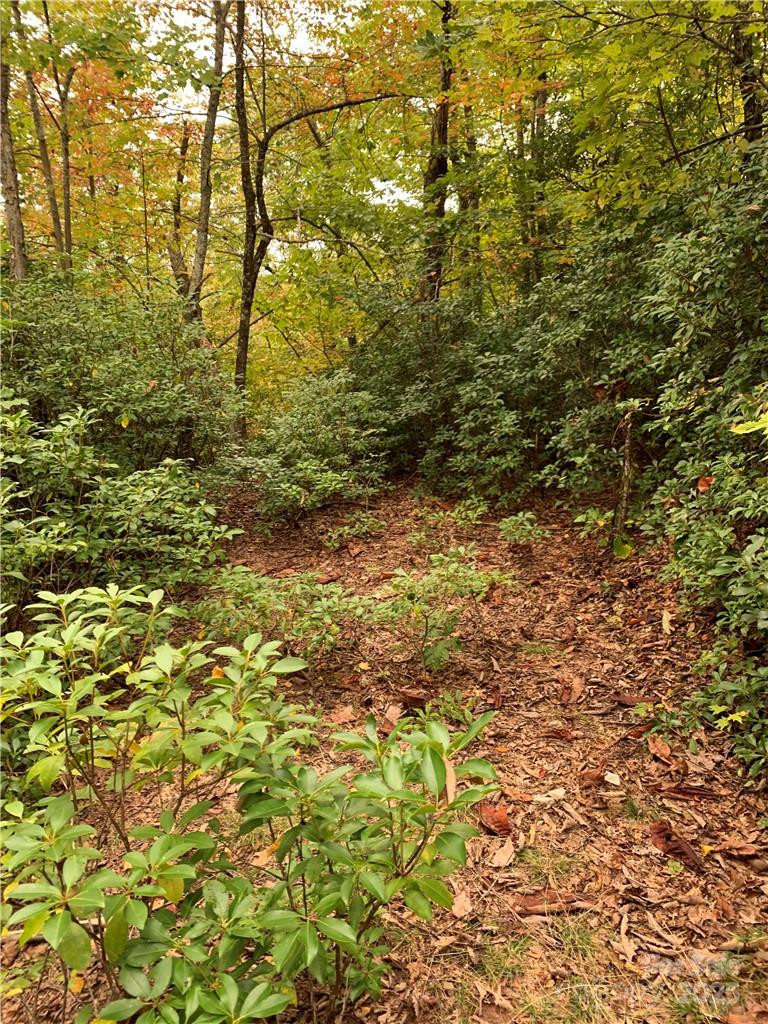 000 Eastatoe Gap Road - Photo 7