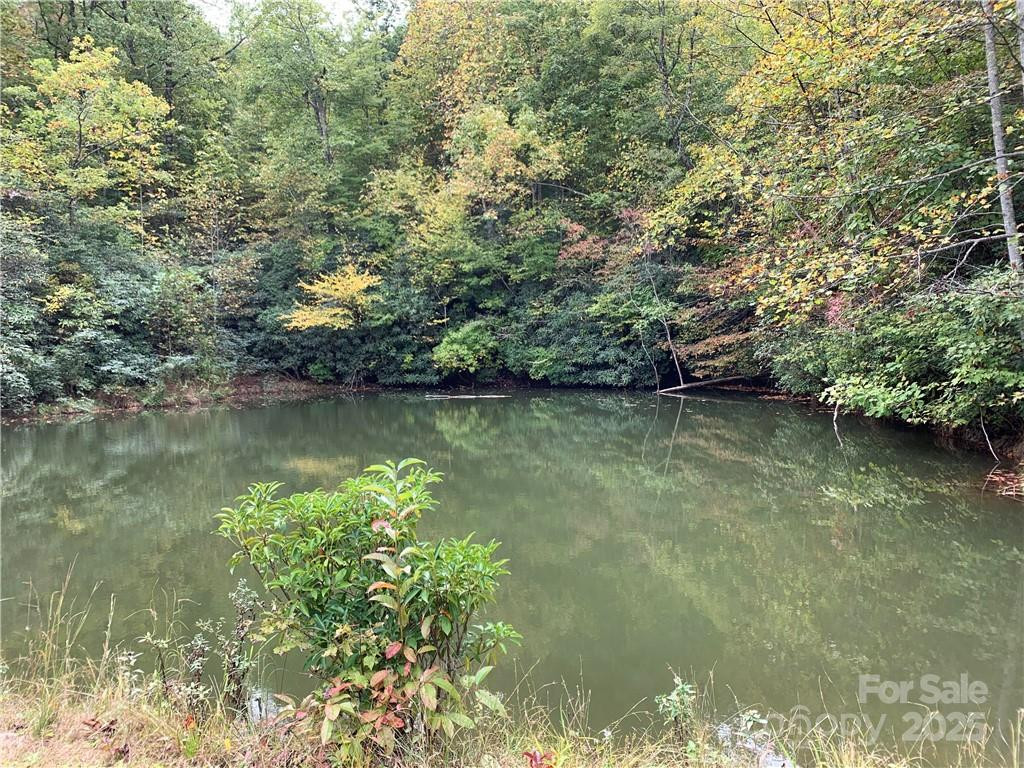 000 Eastatoe Gap Road - Photo 10