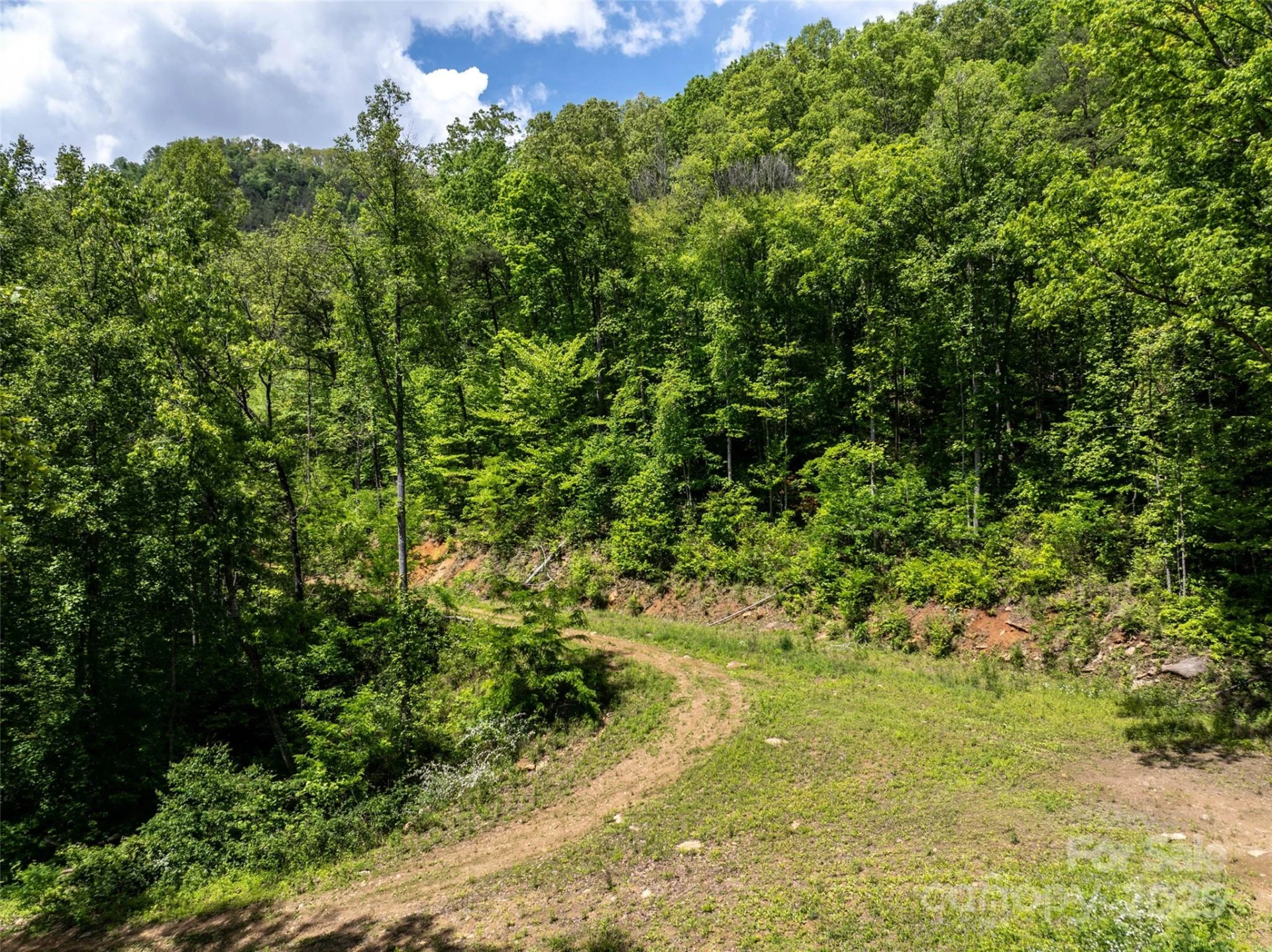 444 Woodring Cemetery Road - Photo 2