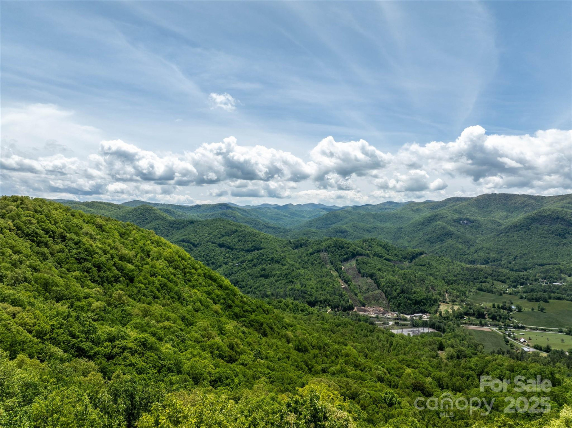 444 Woodring Cemetery Road - Photo 11