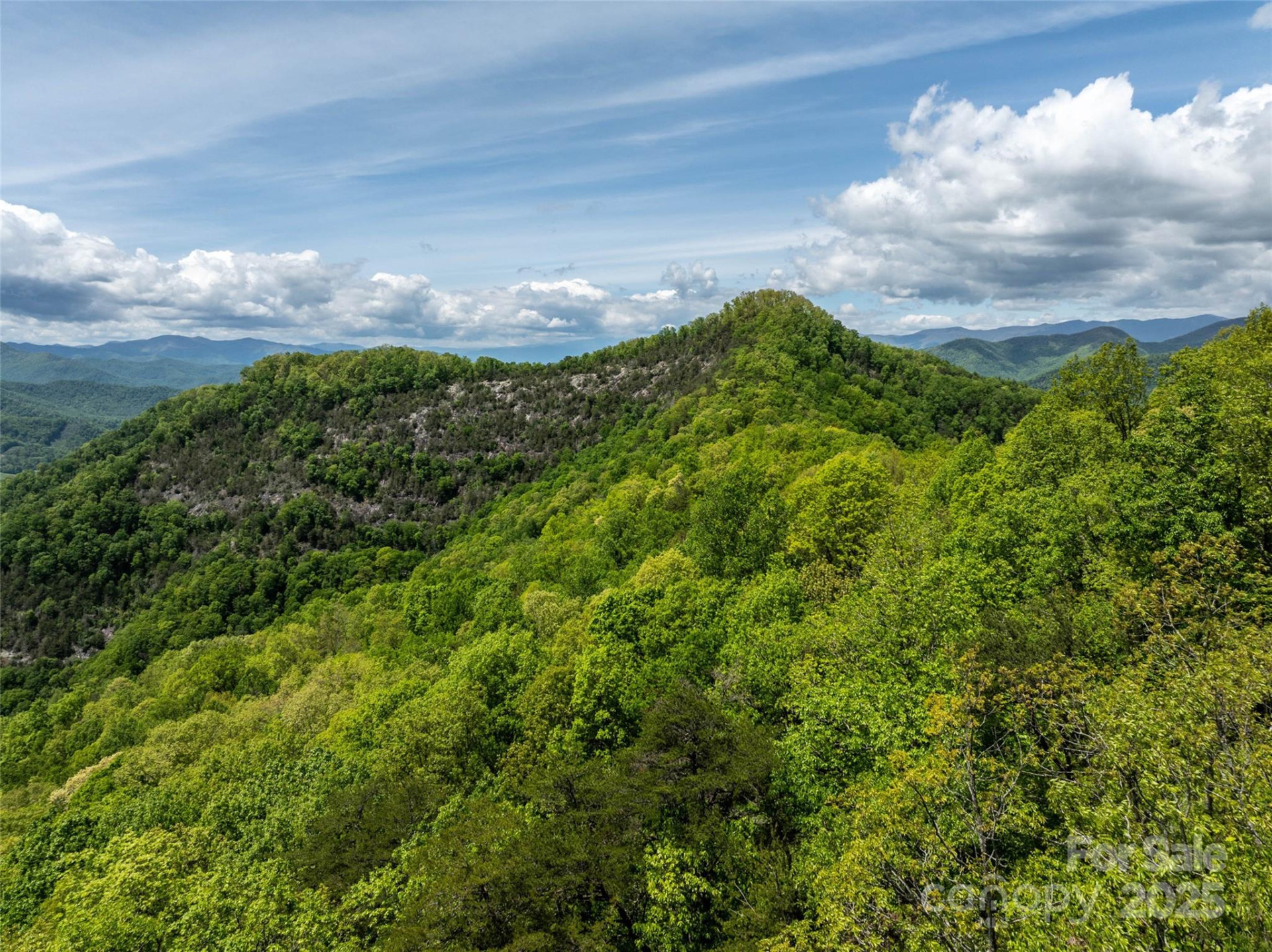 444 Woodring Cemetery Road - Photo 12