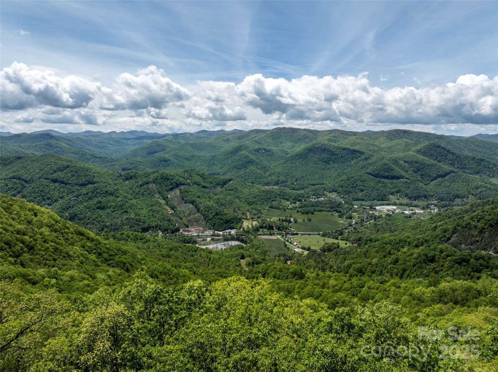 444 Woodring Cemetery Road - Photo 14