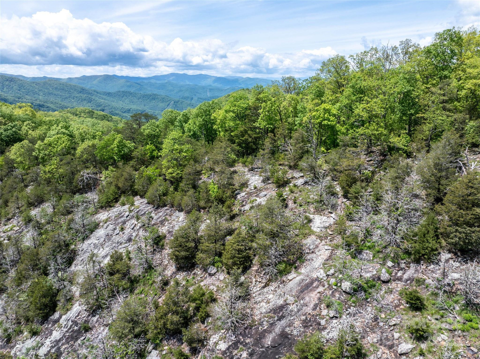 444 Woodring Cemetery Road - Photo 18