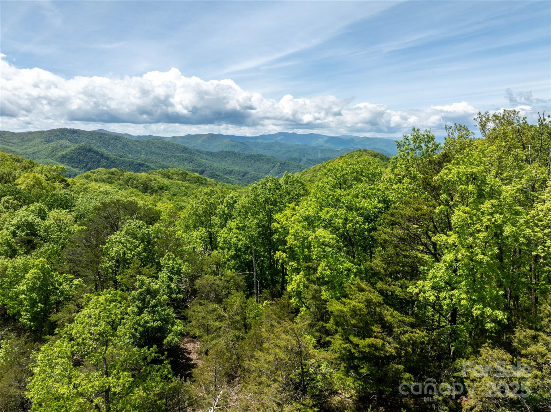 444 Woodring Cemetery Road - Photo 19