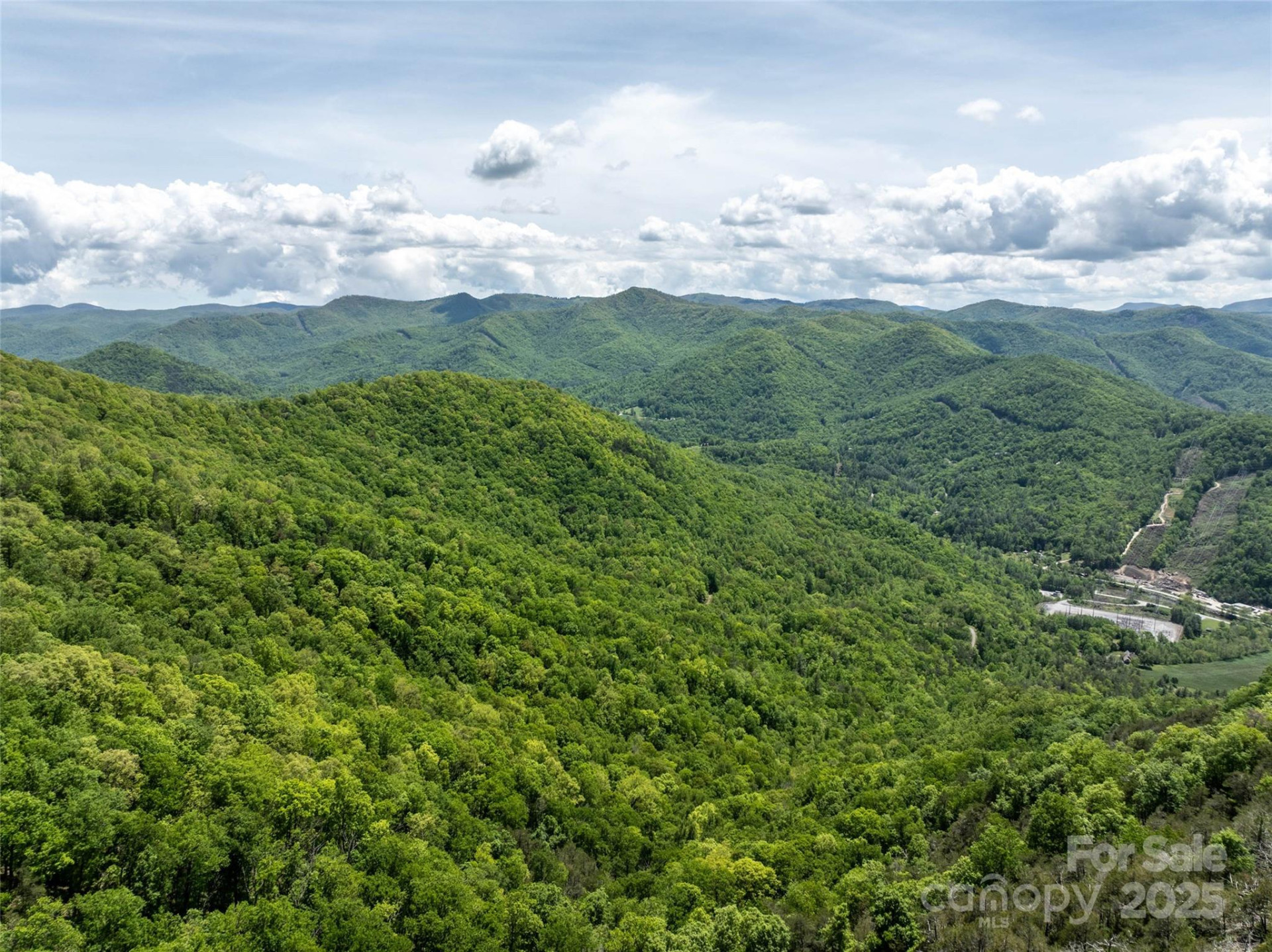 444 Woodring Cemetery Road - Photo 21