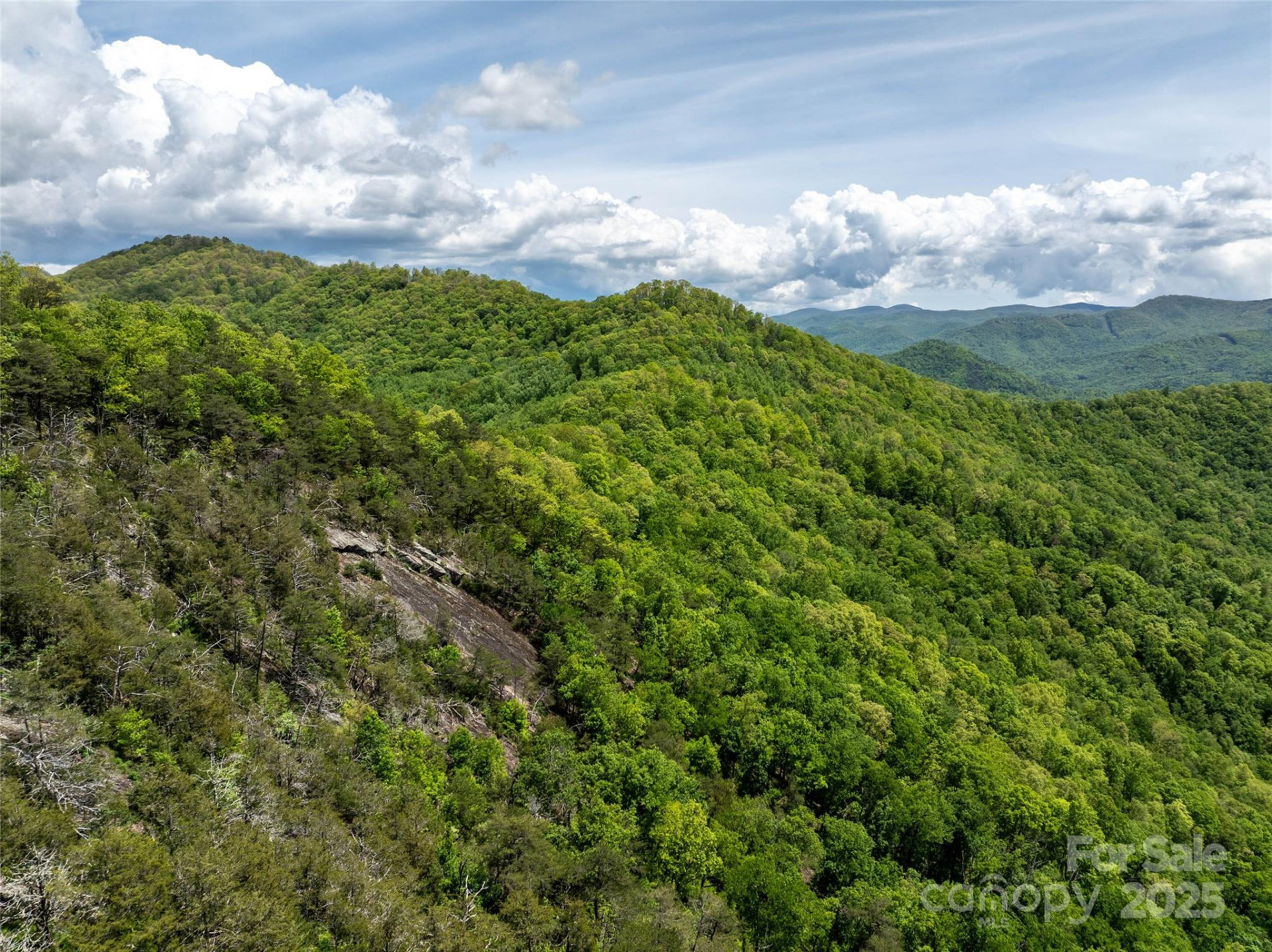 444 Woodring Cemetery Road - Photo 22