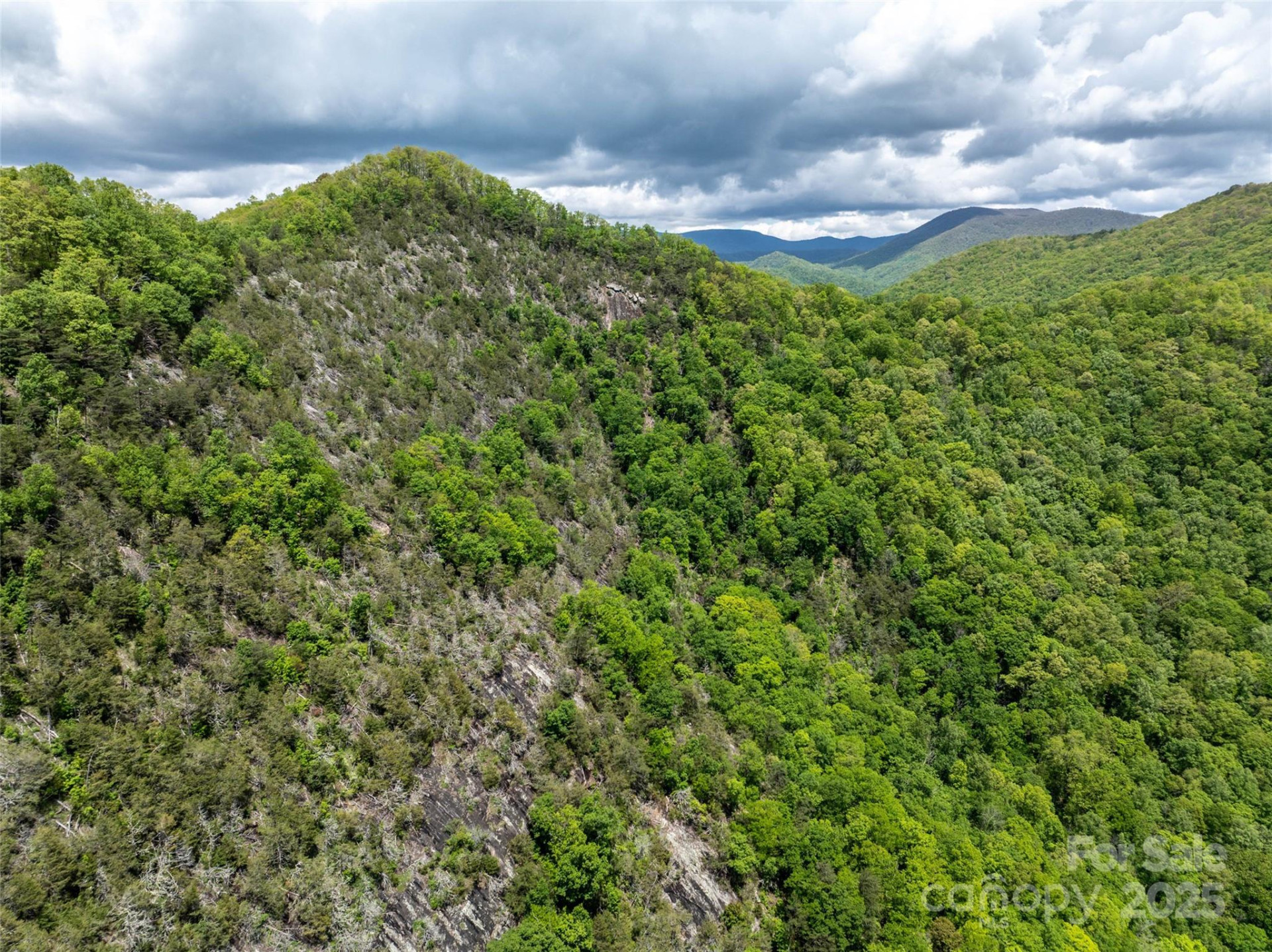 444 Woodring Cemetery Road - Photo 24