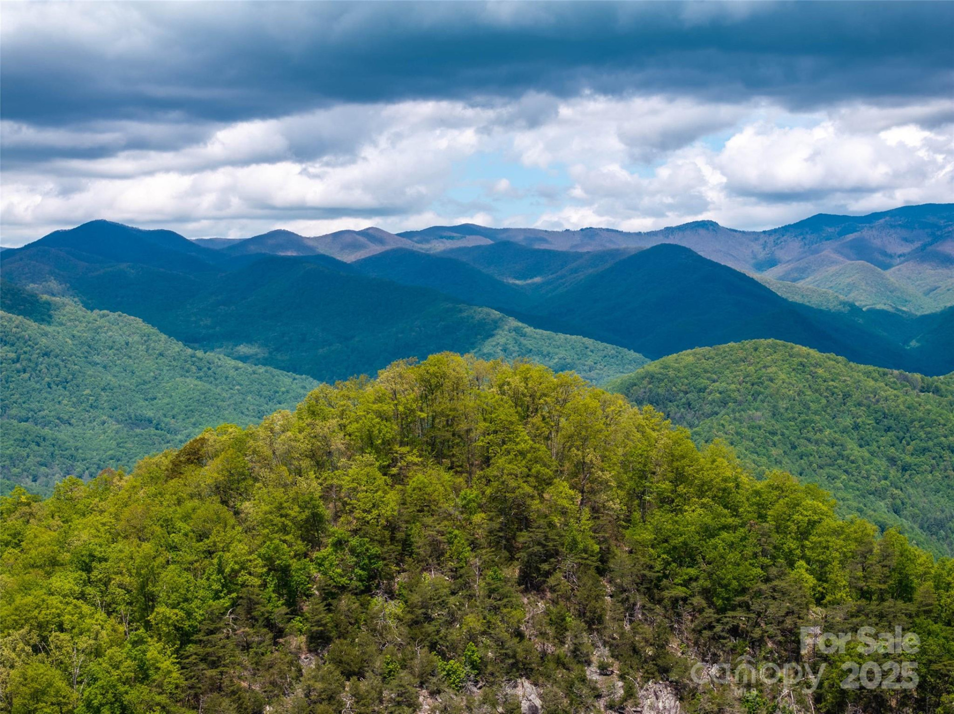 444 Woodring Cemetery Road - Photo 25