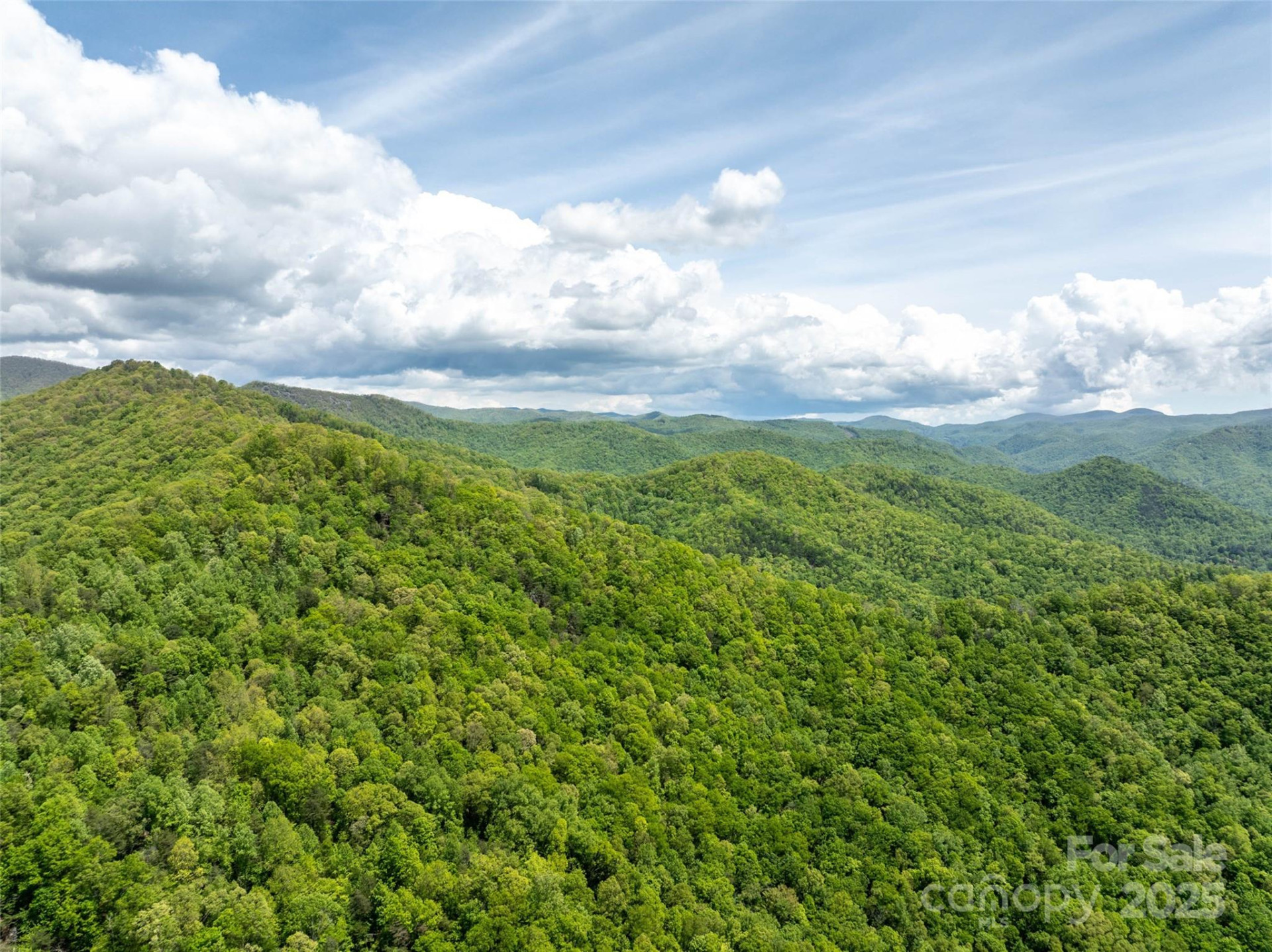 444 Woodring Cemetery Road - Photo 26