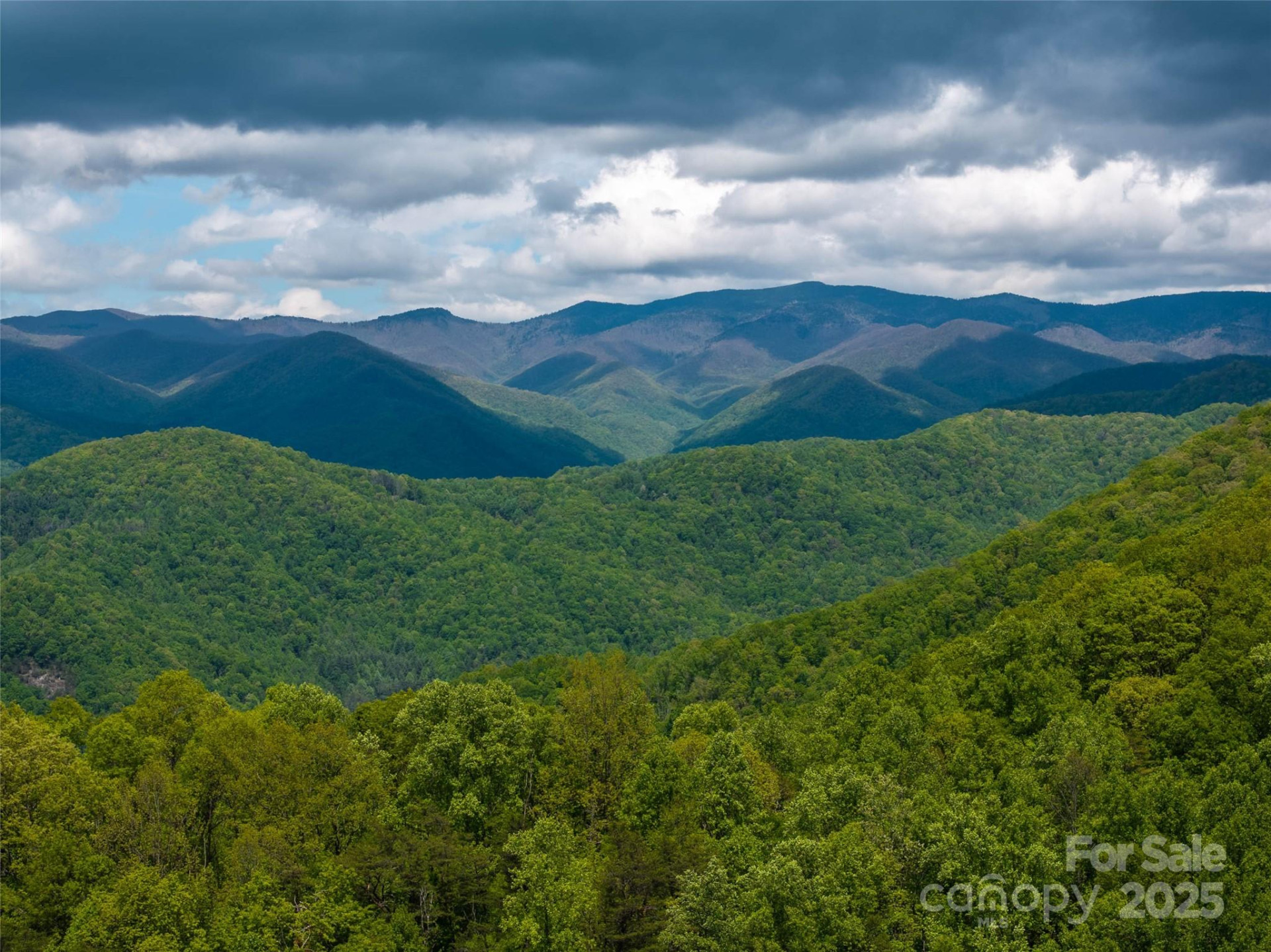 444 Woodring Cemetery Road - Photo 27