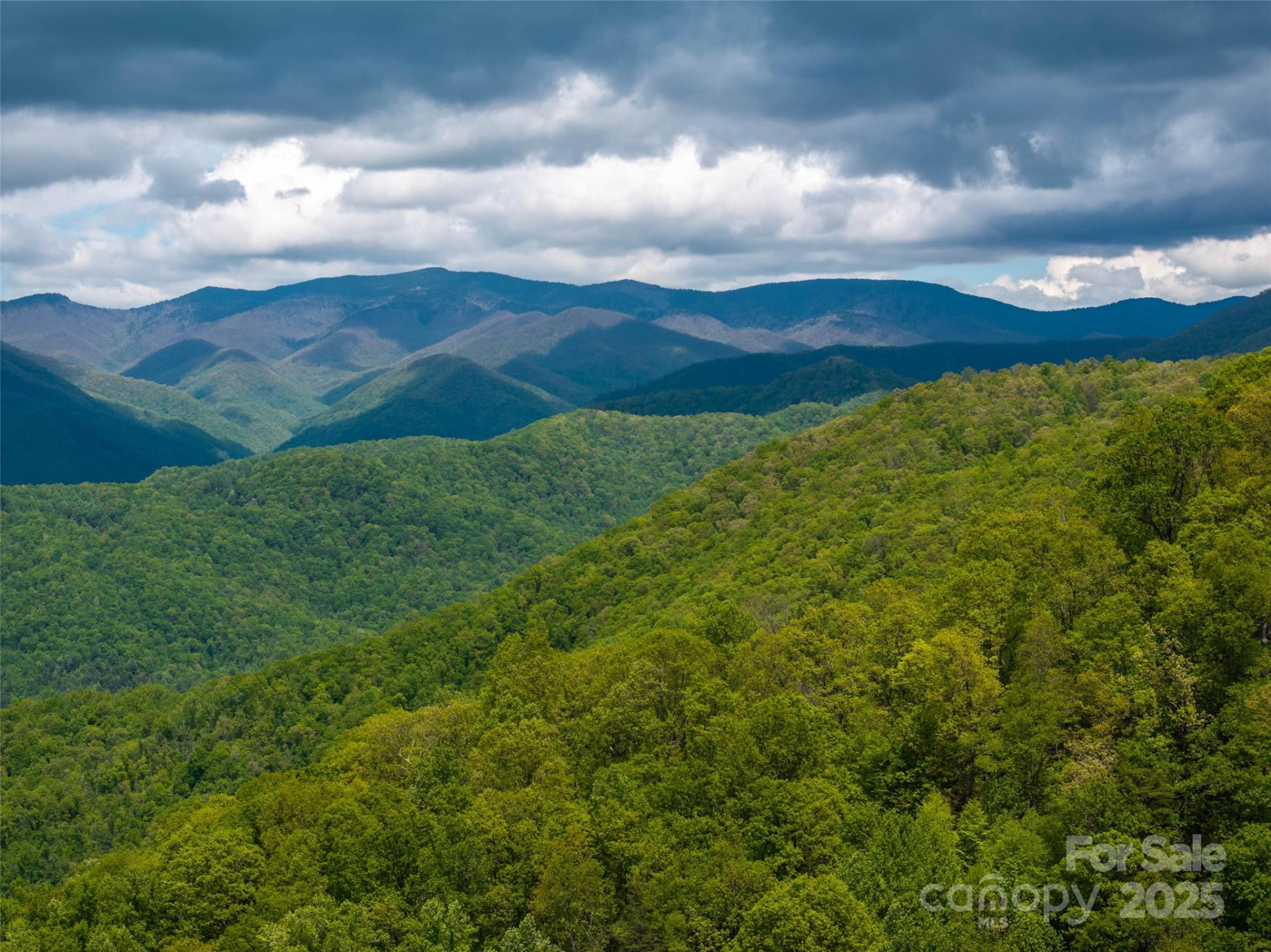 444 Woodring Cemetery Road - Photo 28