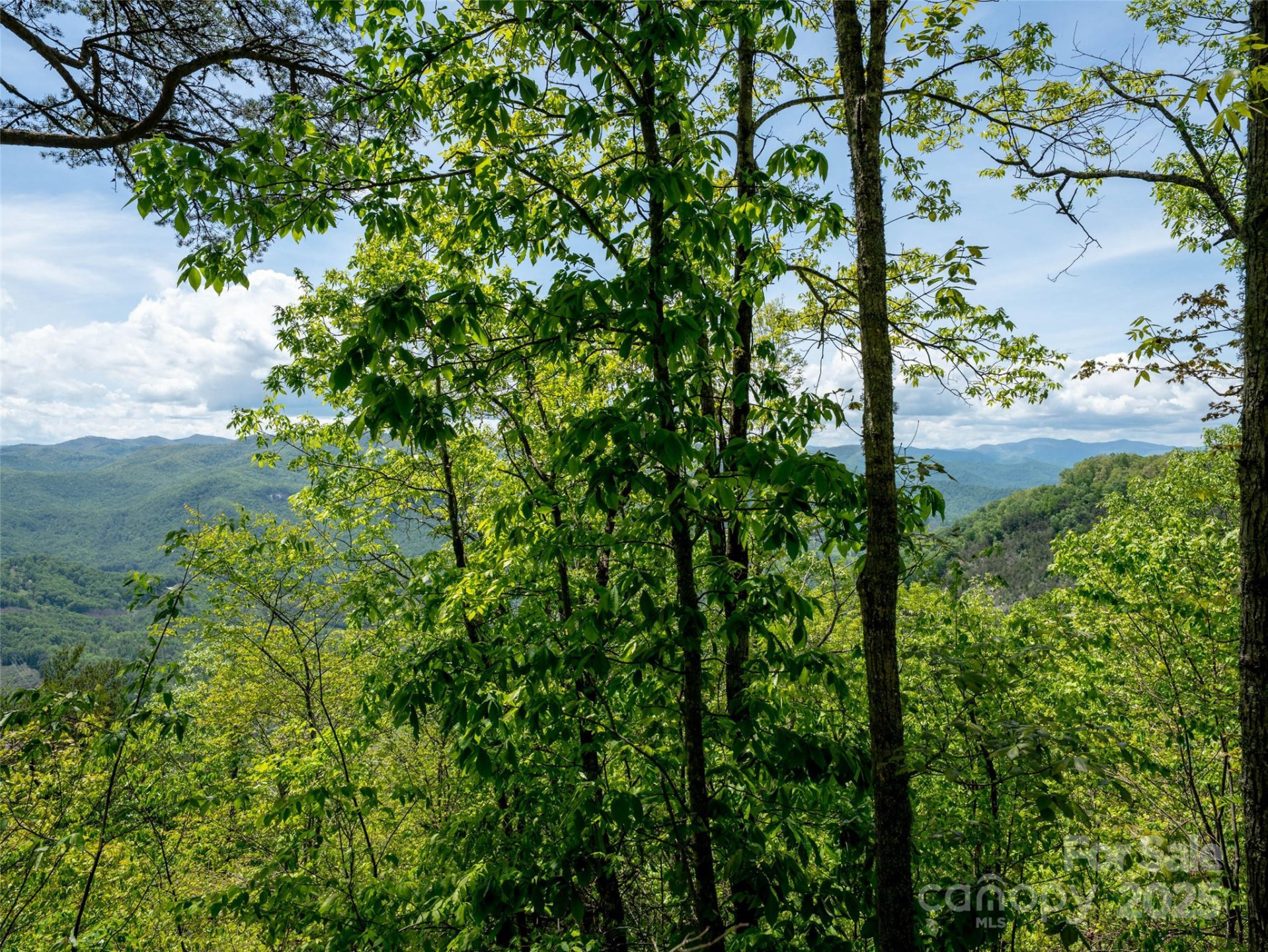 444 Woodring Cemetery Road - Photo 29