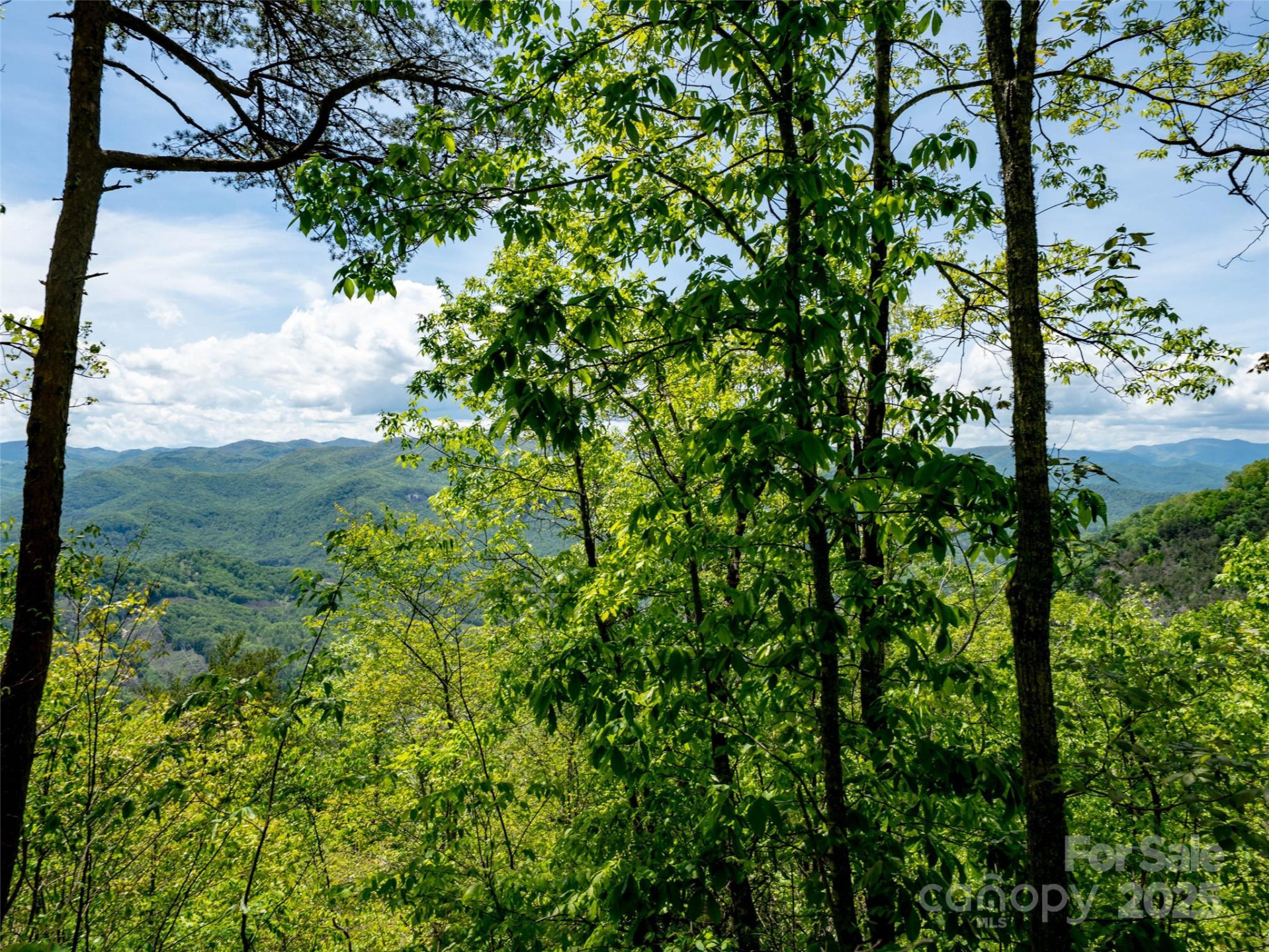 444 Woodring Cemetery Road - Photo 30