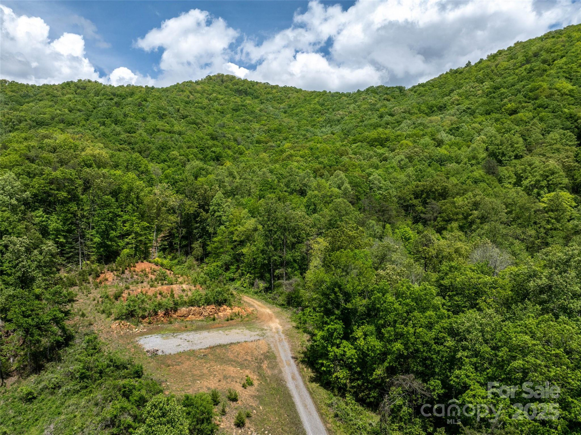 444 Woodring Cemetery Road - Photo 4