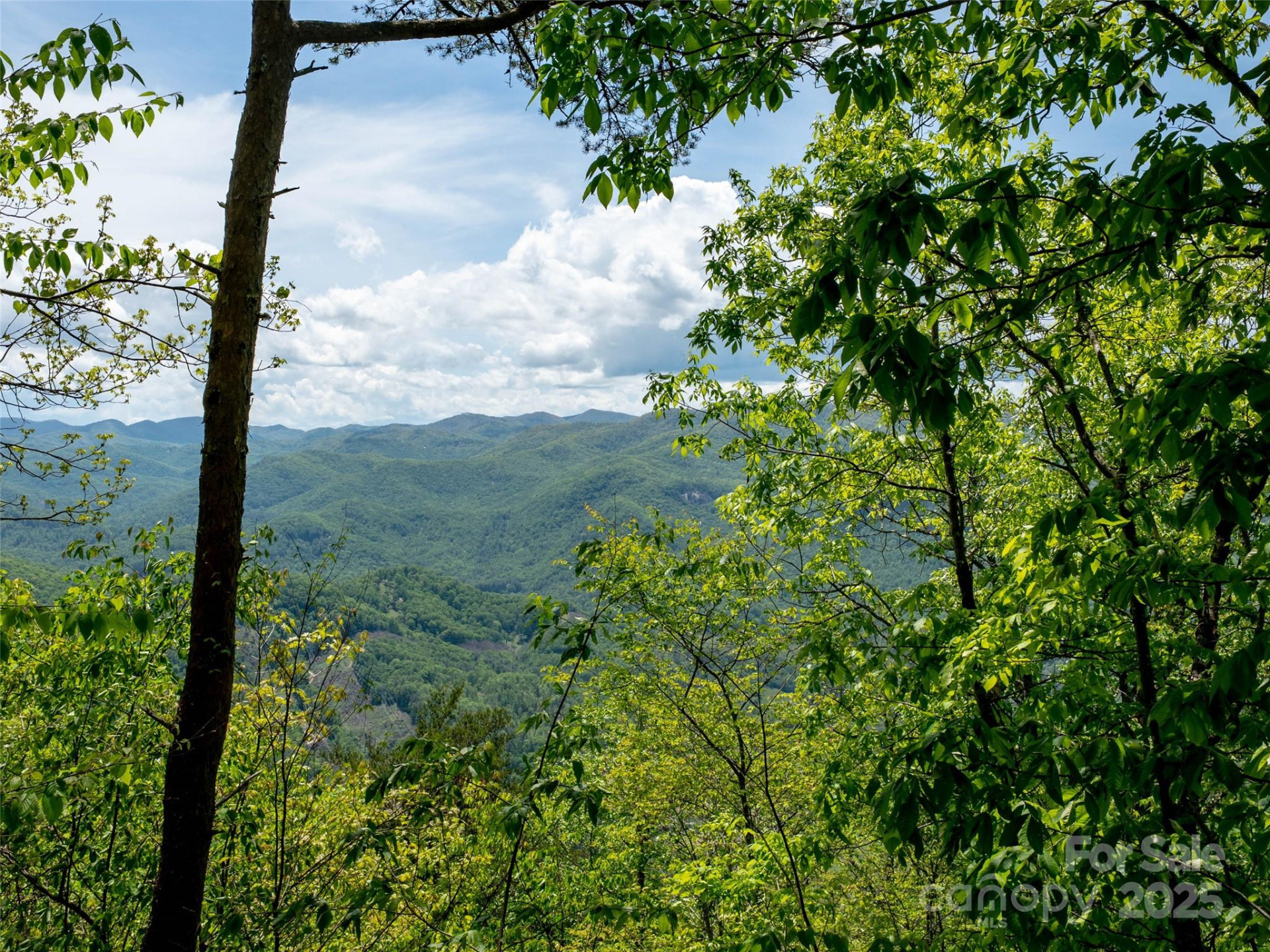 444 Woodring Cemetery Road - Photo 31